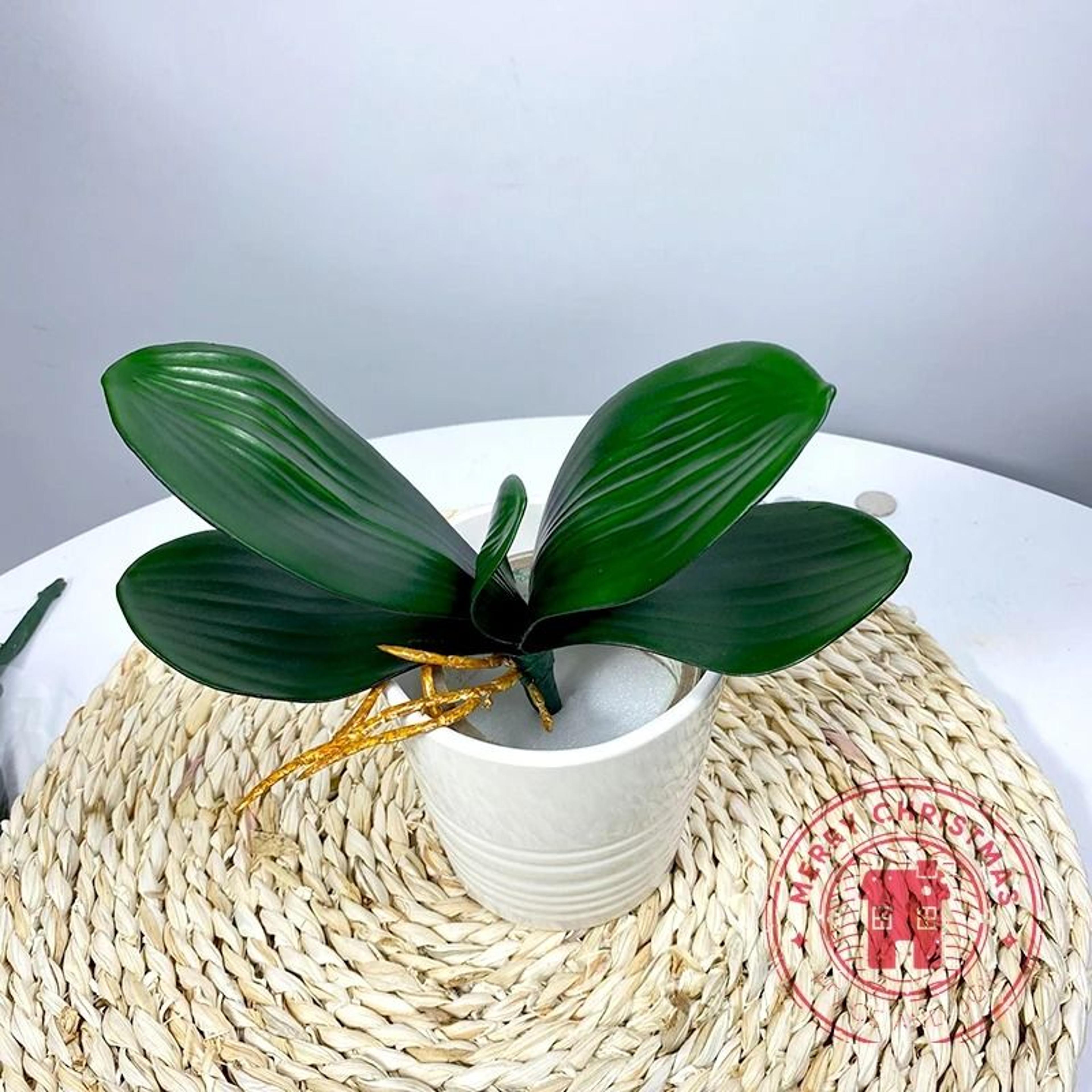 Phalaenopsis RealTouch Leaves  HighFidelity Orchid Foliage For Luxury Floral Arrangements  Living R 4