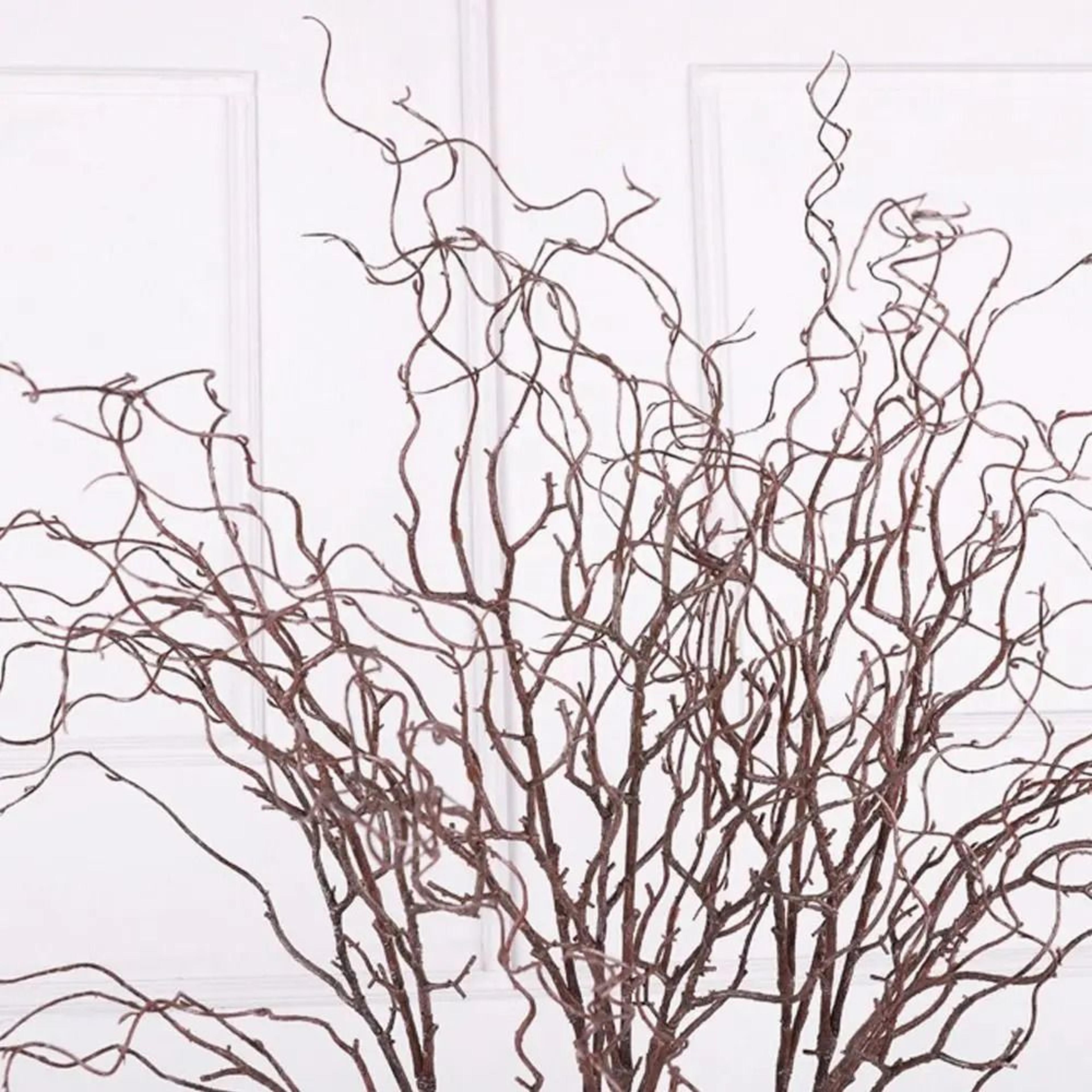 Arboreal Narrative Sculpture  HighDefinition Willow Architectural Ornament 5