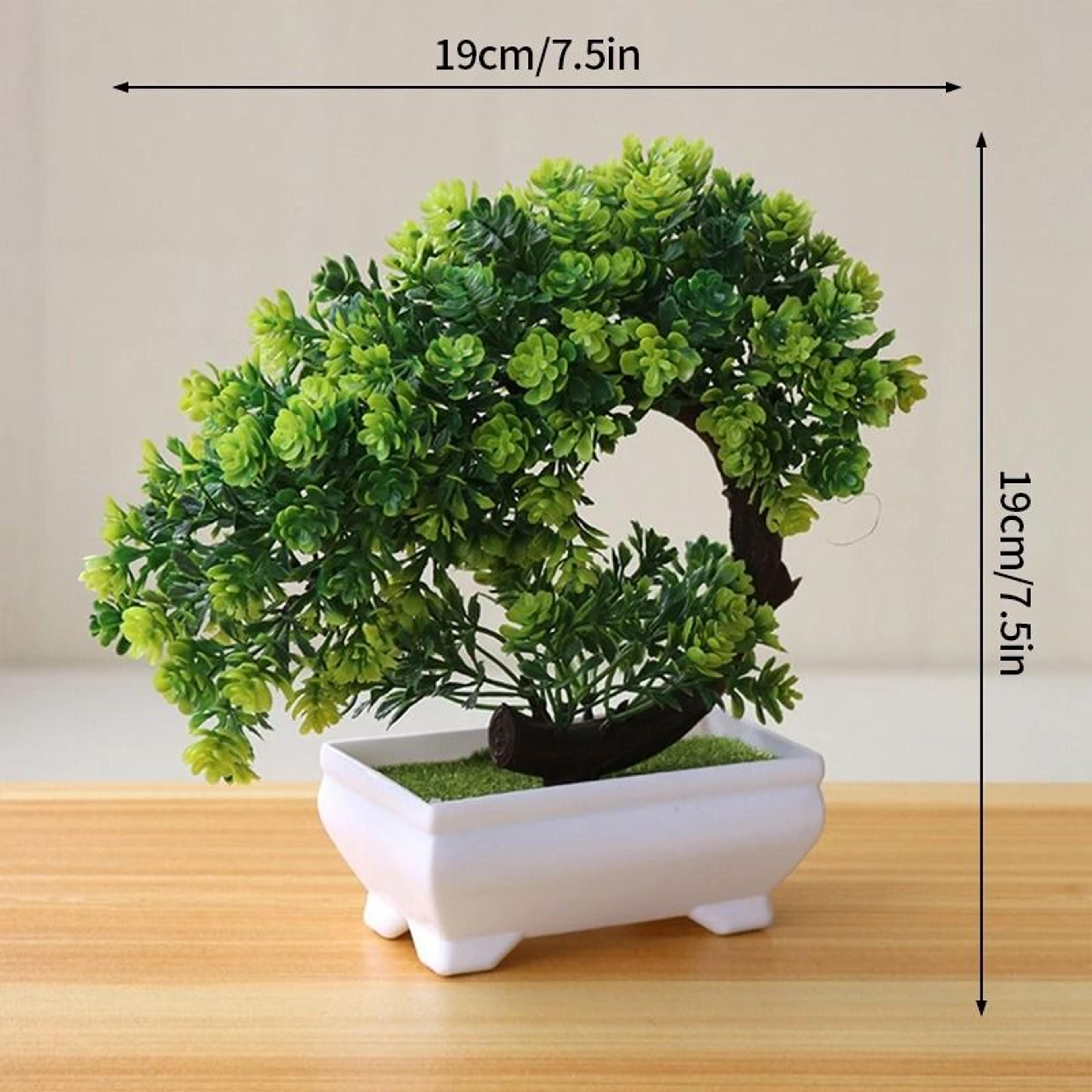 Botanical Narrative Sculpture  HighDefinition Bonsai Architectural Ornament 8