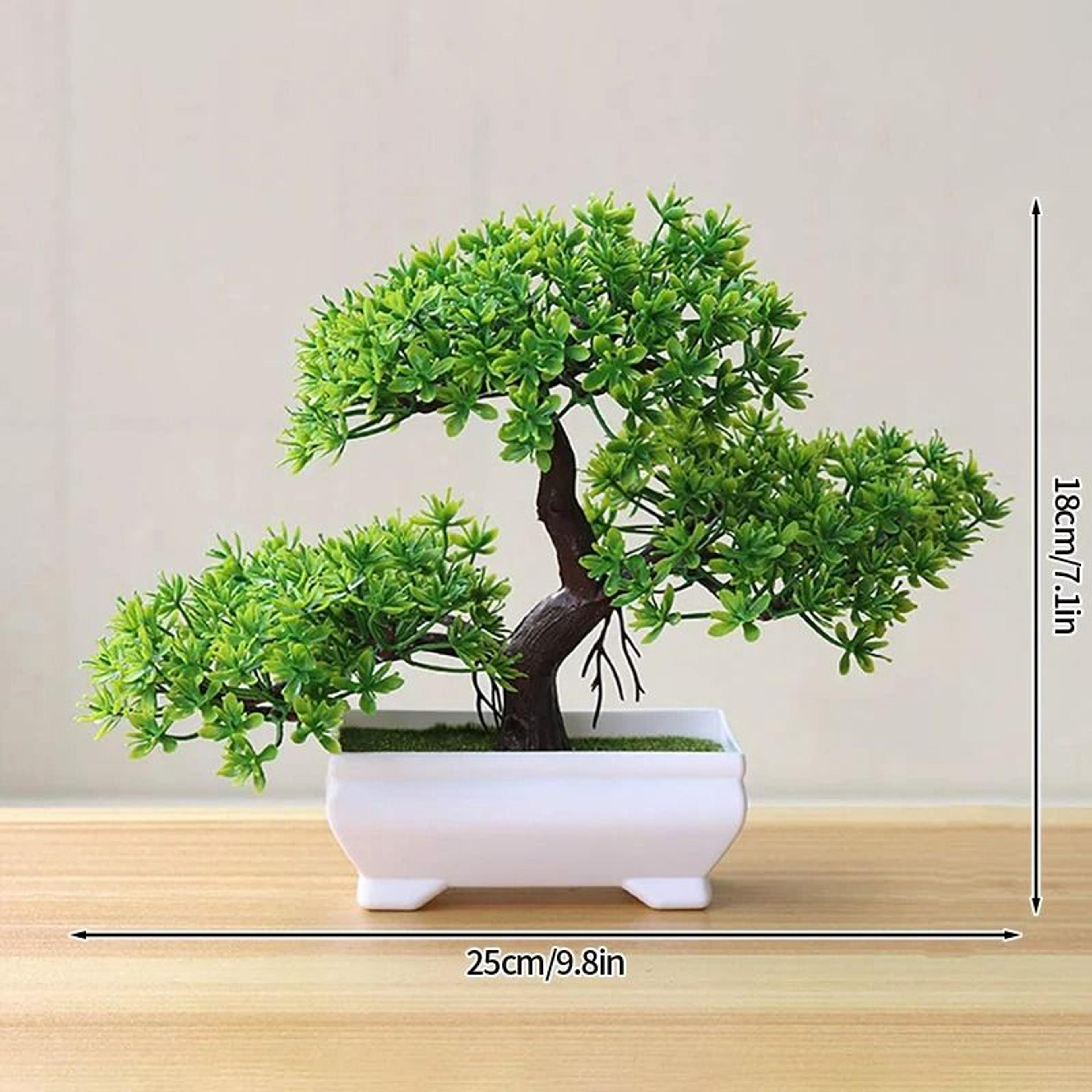 Botanical Narrative Sculpture  HighDefinition Bonsai Architectural Ornament 19