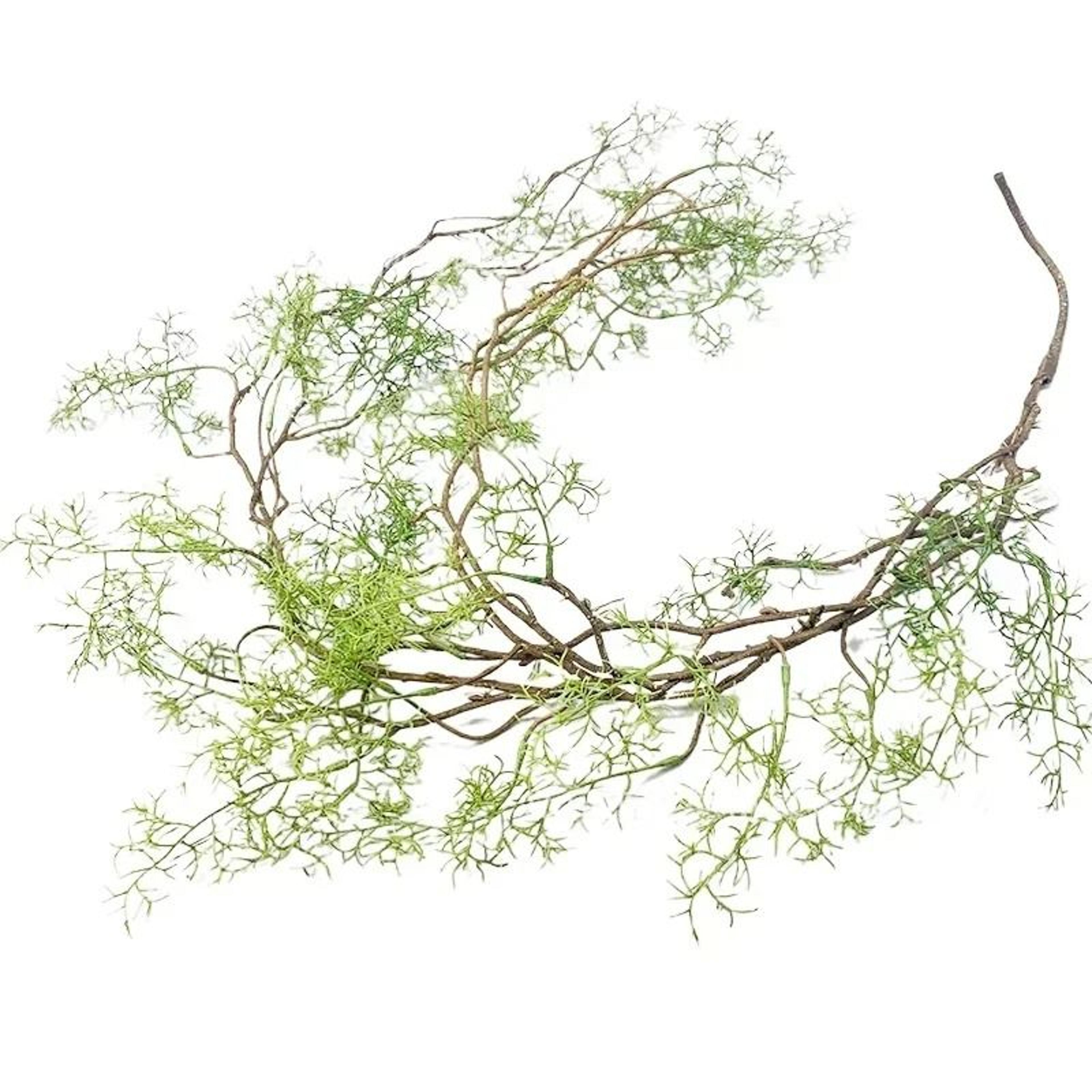 Long Artificial Asparagus Fern Hanging Vine  Lush Faux Rattan Greenery For Wall And Lobby Decor 7