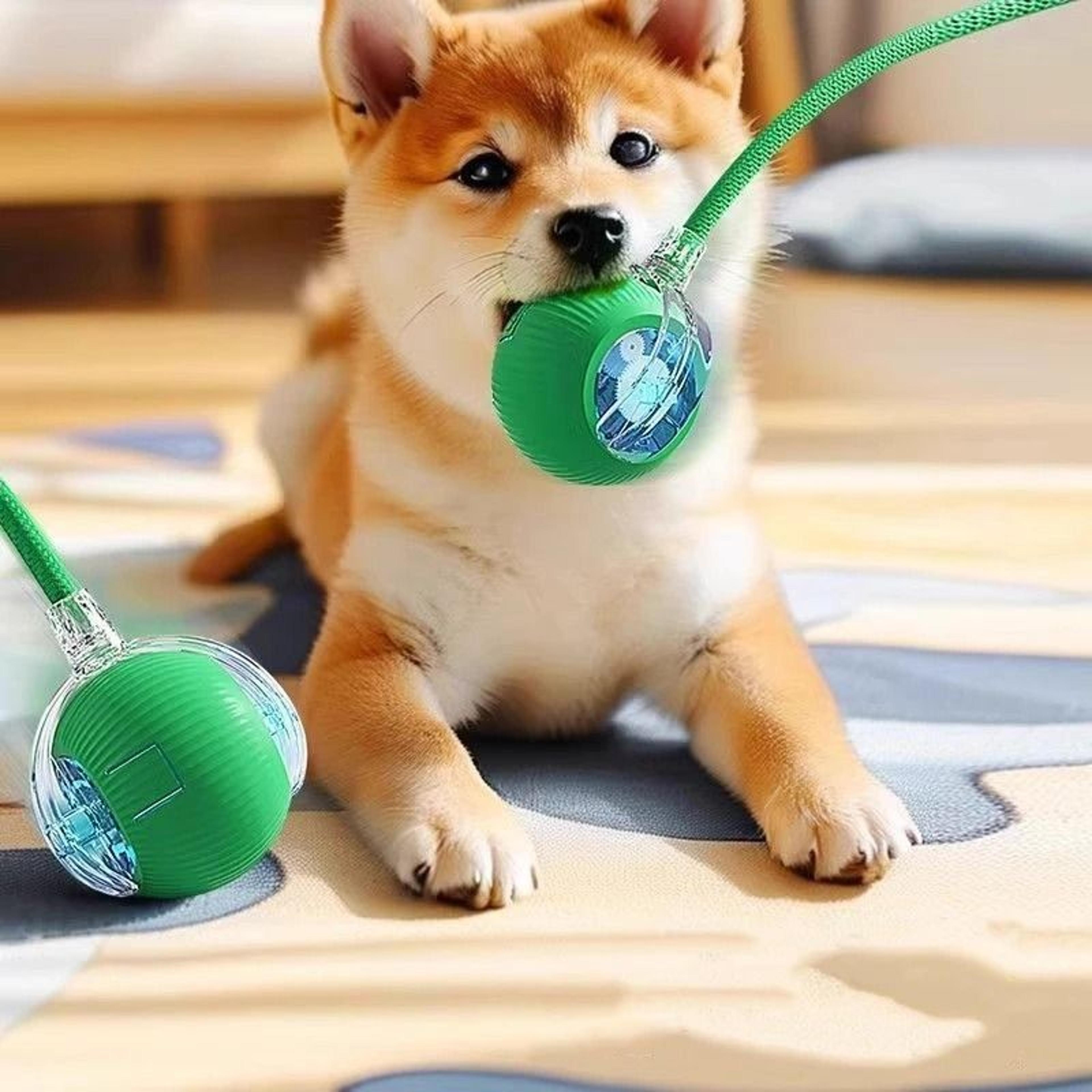 Smart Automatic Rolling Tail Ball Cat Toy 3
