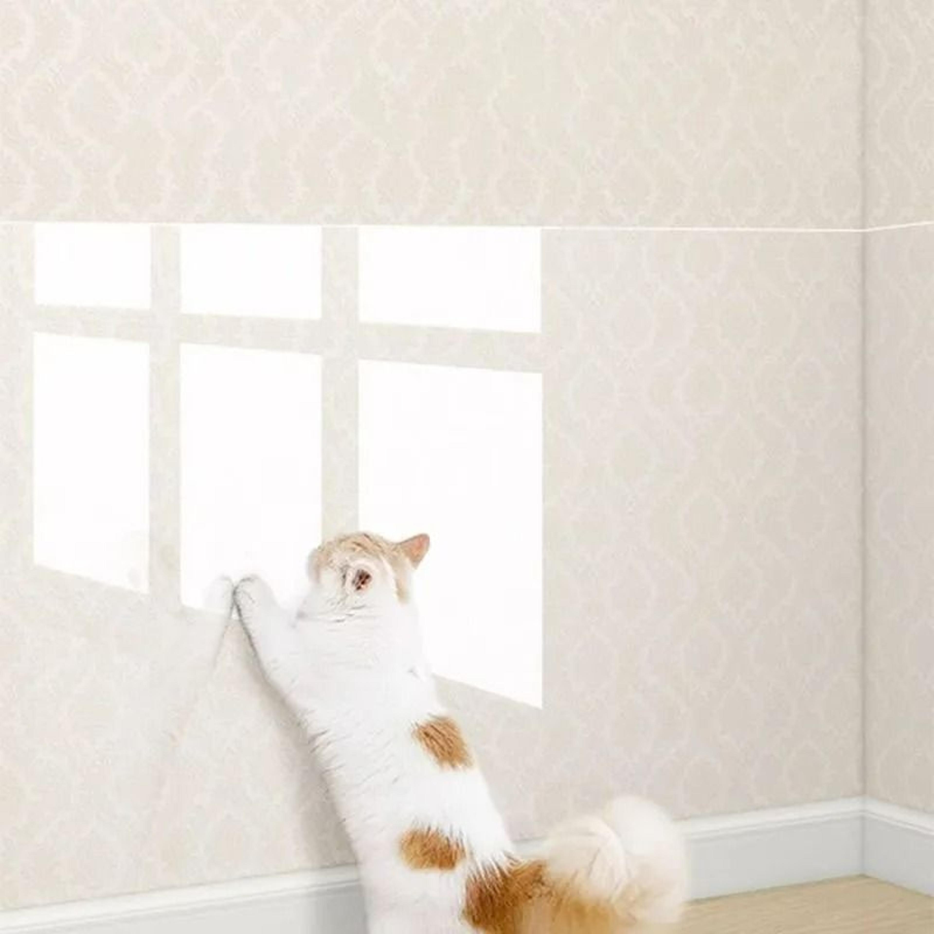 InvisibleShield UltraClear Furniture Guard 10Foot Roll 2