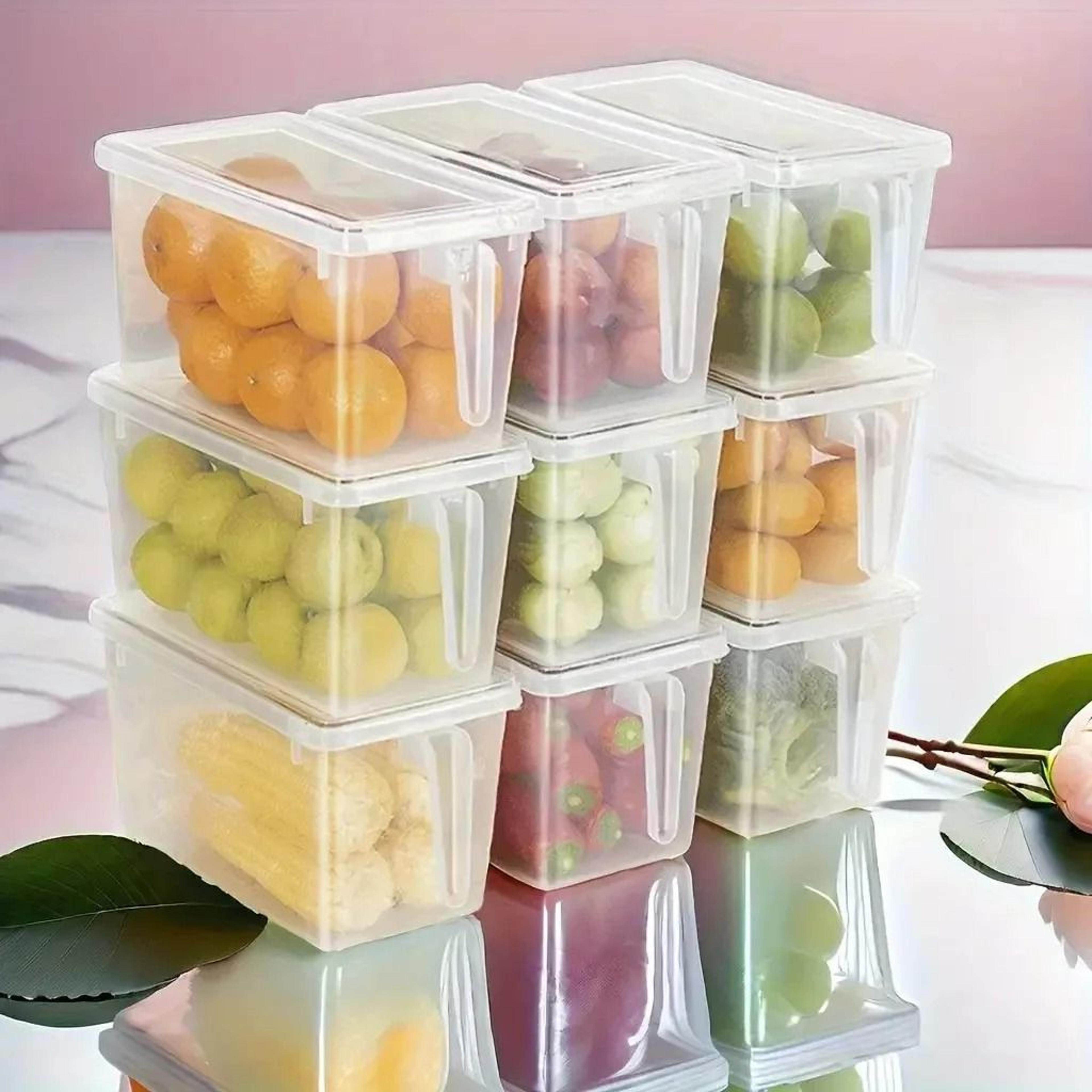 Clear Fridge Storage Container With BuiltIn Handle And Airtight Preservation Lid 1