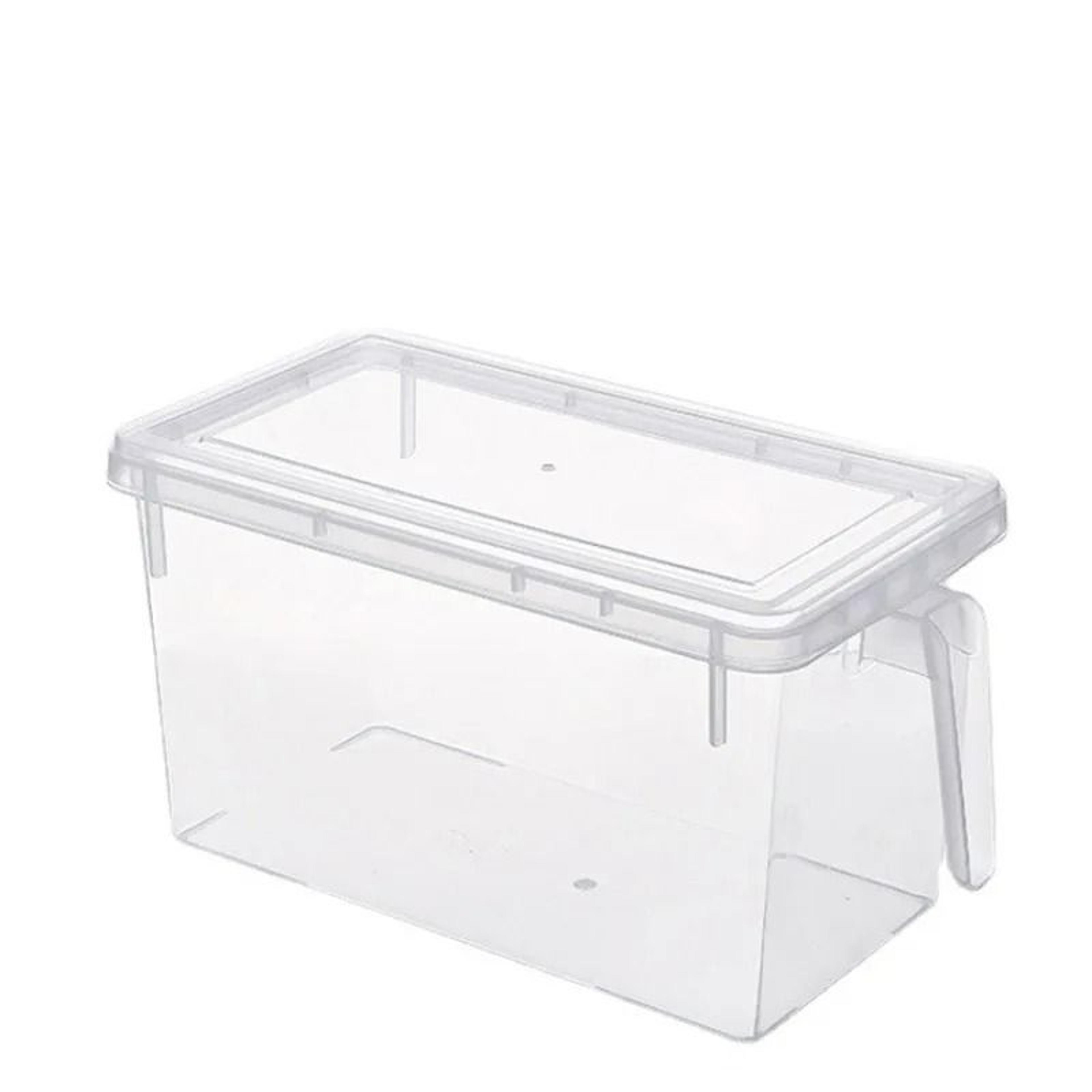 Clear Fridge Storage Container With BuiltIn Handle And Airtight Preservation Lid 5