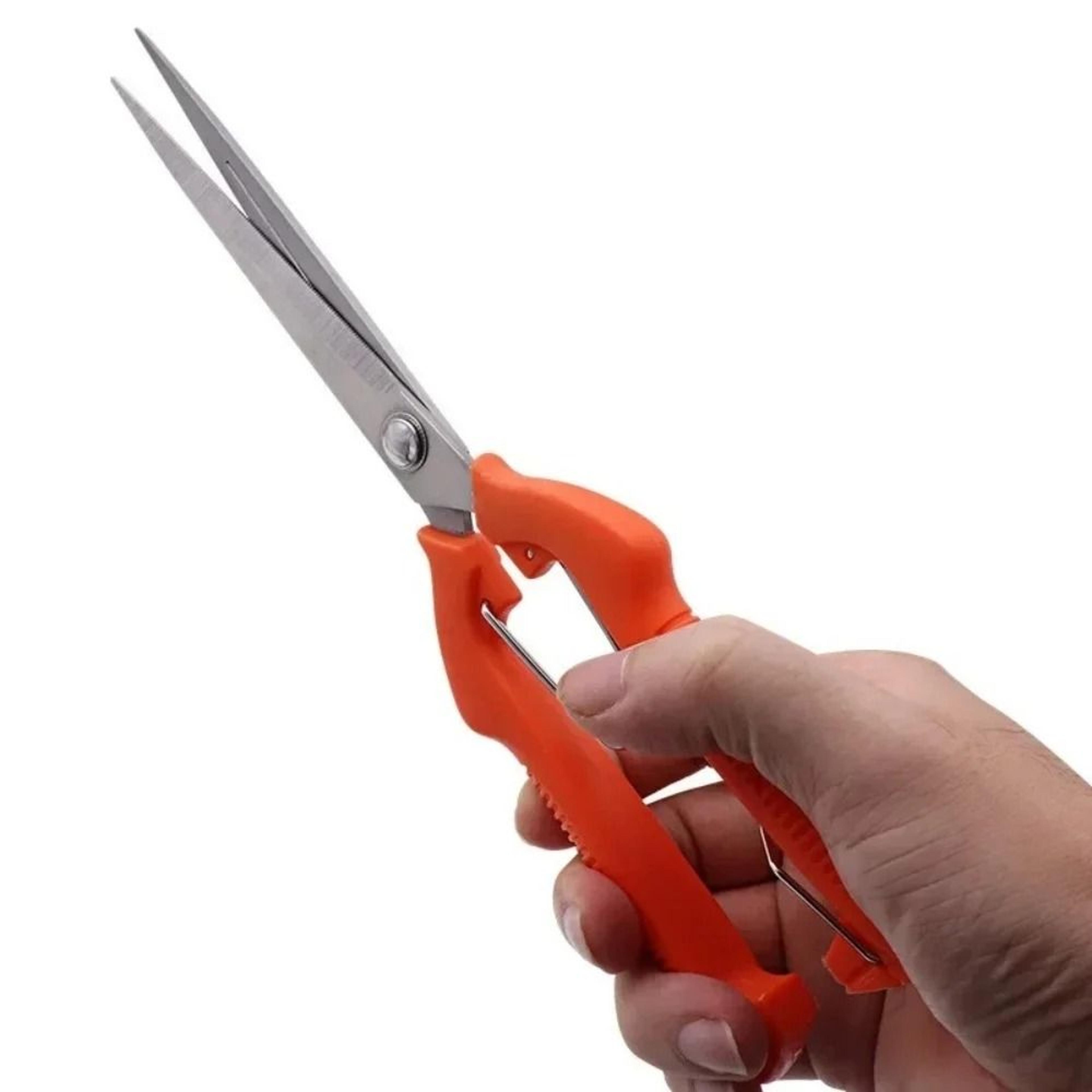 Stainless Steel Garden Pruning Shears Portable Fruit Picking Scissors 3