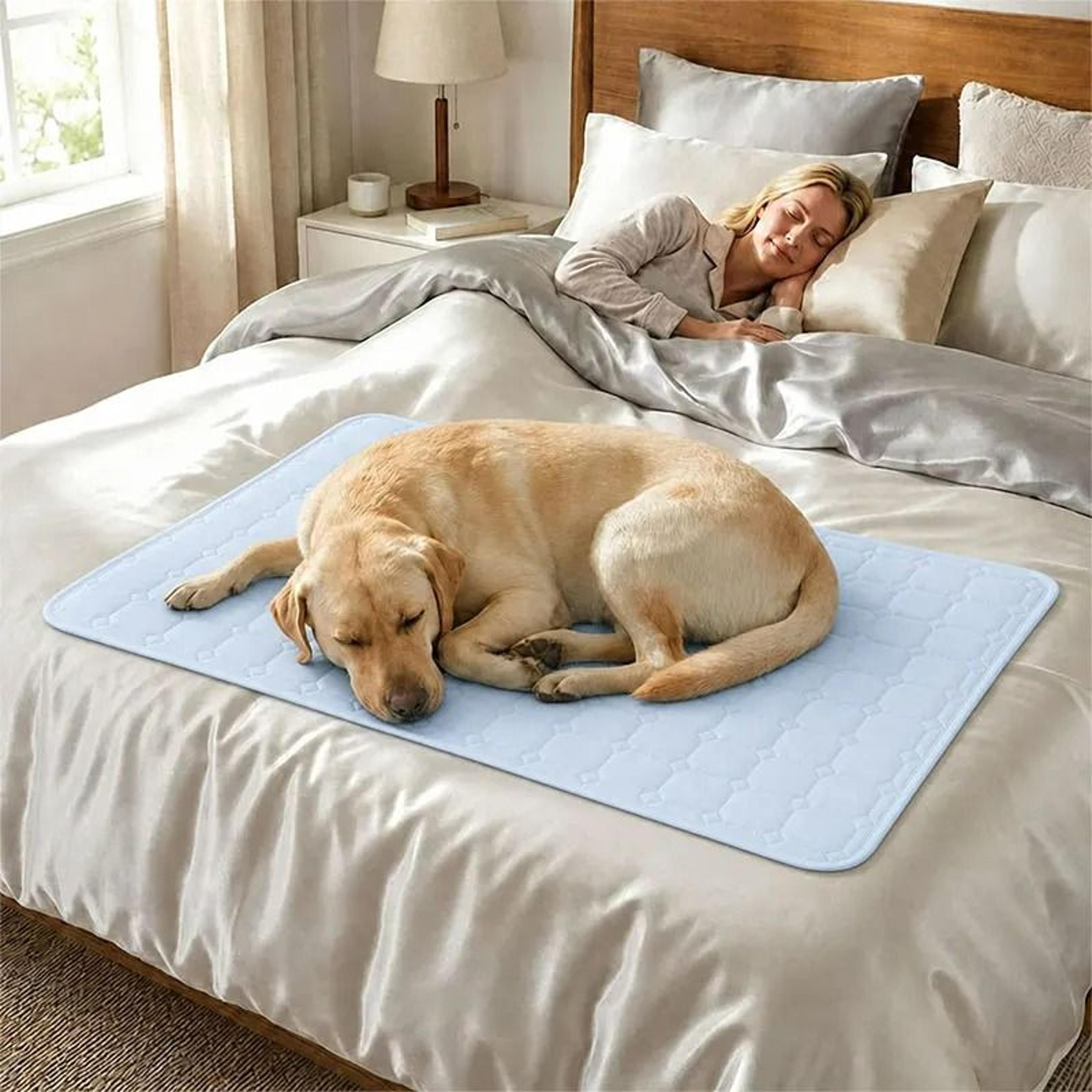 QMax 05 Summer Cooling Pet Mat 2