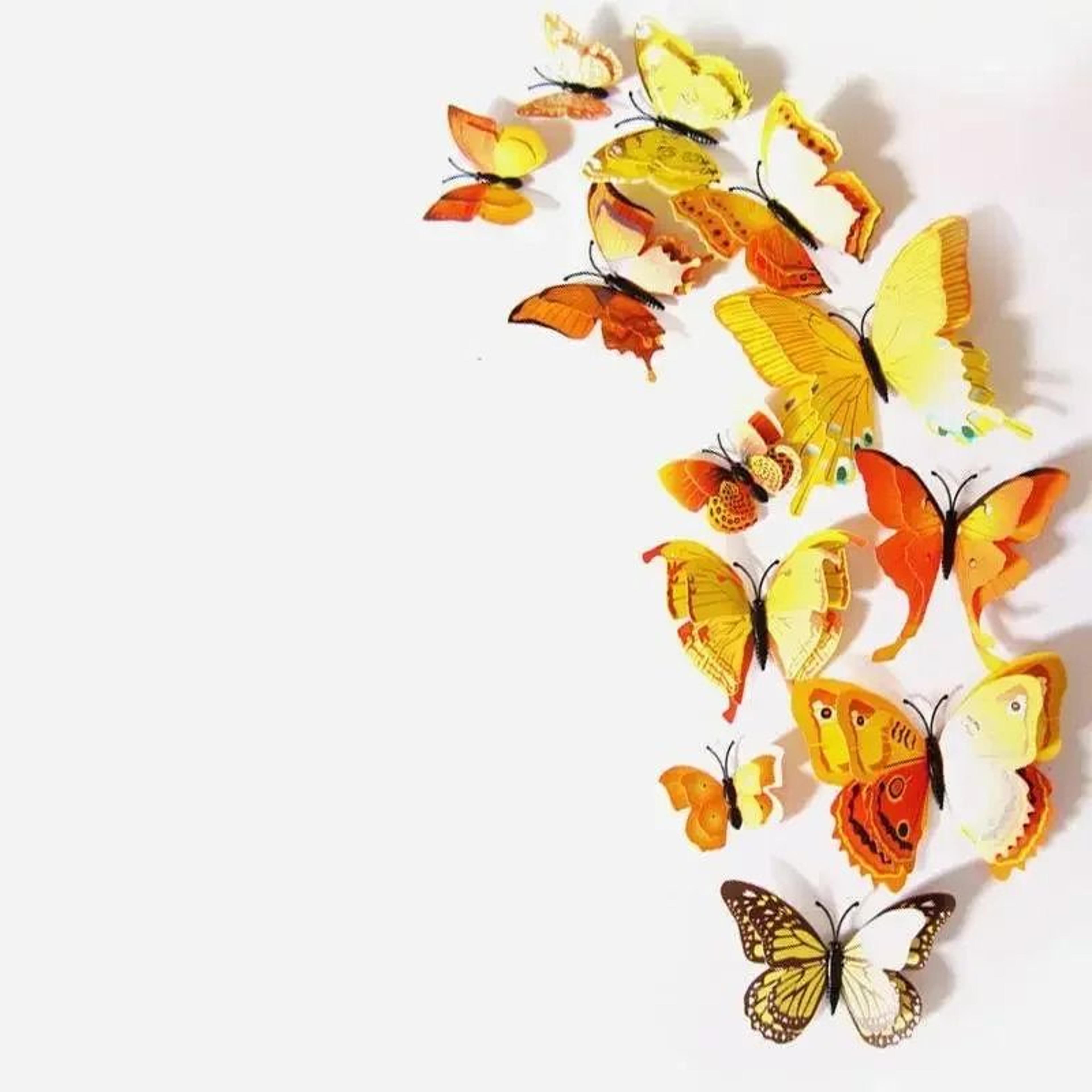 12Piece 3D Butterfly Wall Sticker  Craft Decal Set 9