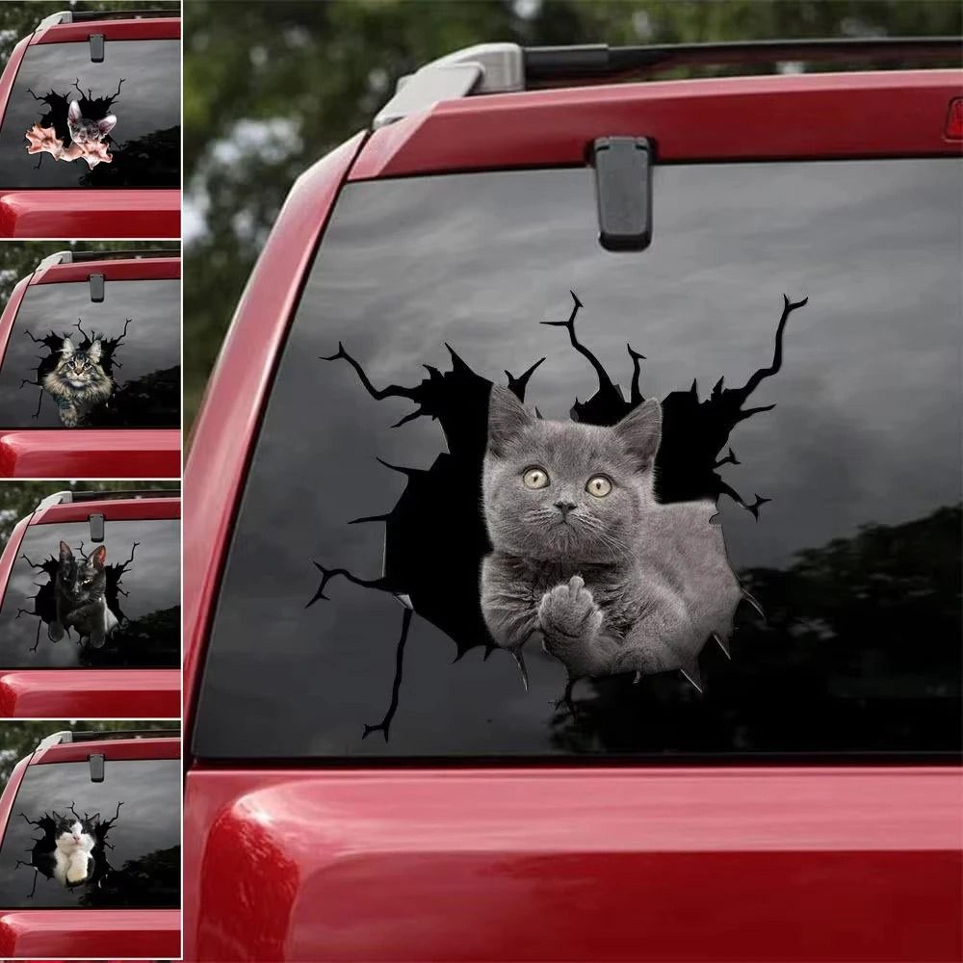 3D Cartoon Chicken Vinyl Decal  Car Window Sticker 2