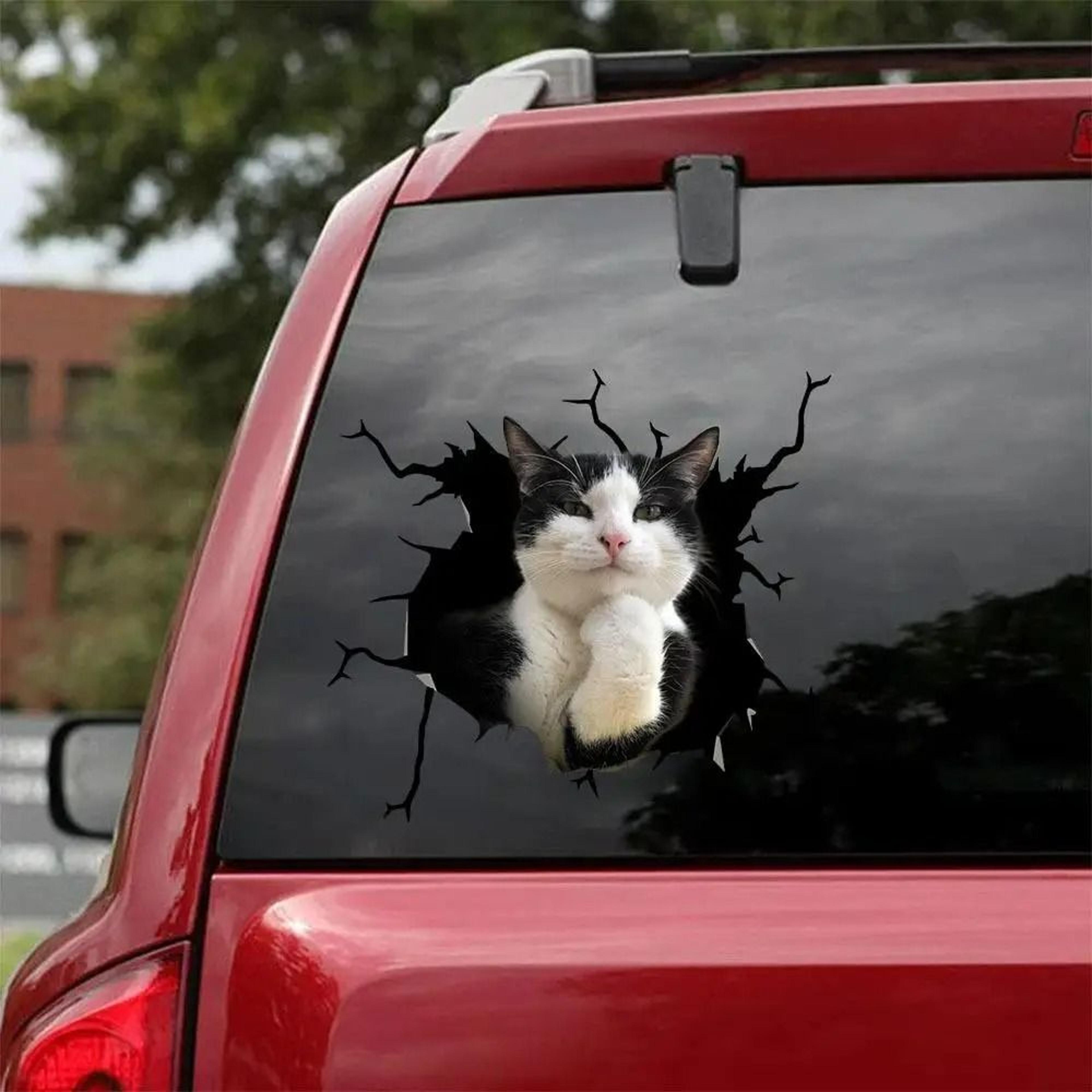 3D Cartoon Chicken Vinyl Decal  Car Window Sticker 10
