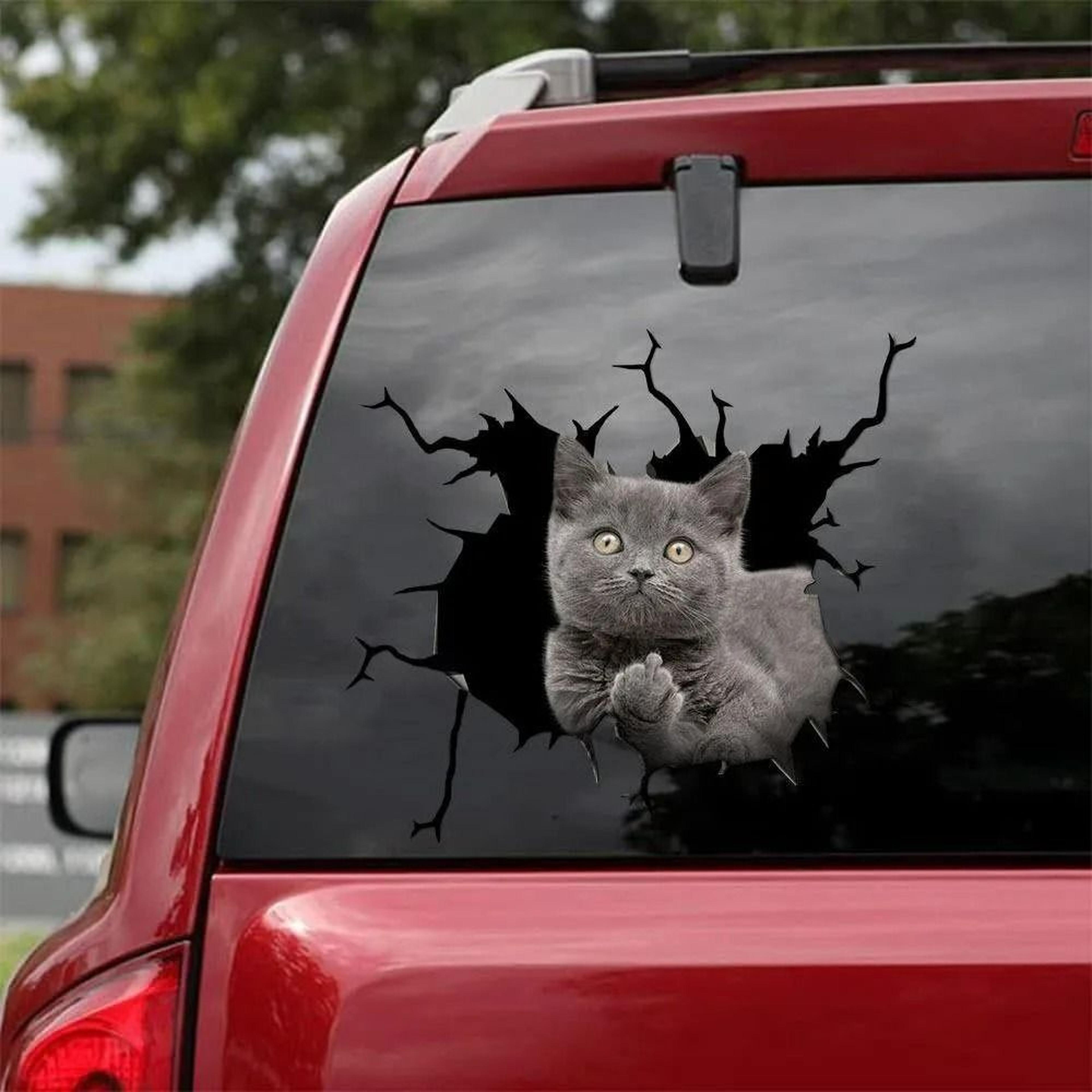 3D Cartoon Chicken Vinyl Decal  Car Window Sticker 17