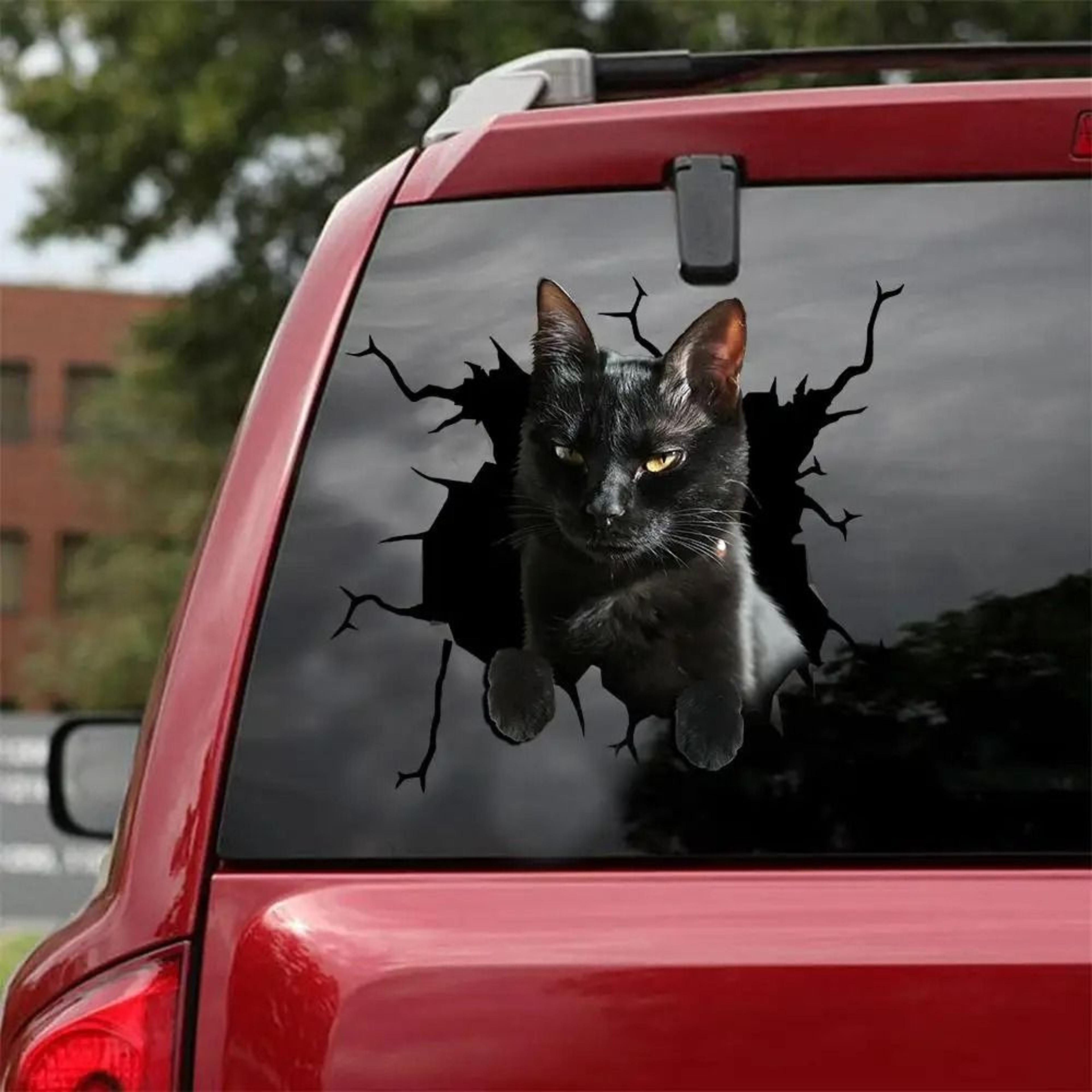 3D Cartoon Chicken Vinyl Decal  Car Window Sticker 14