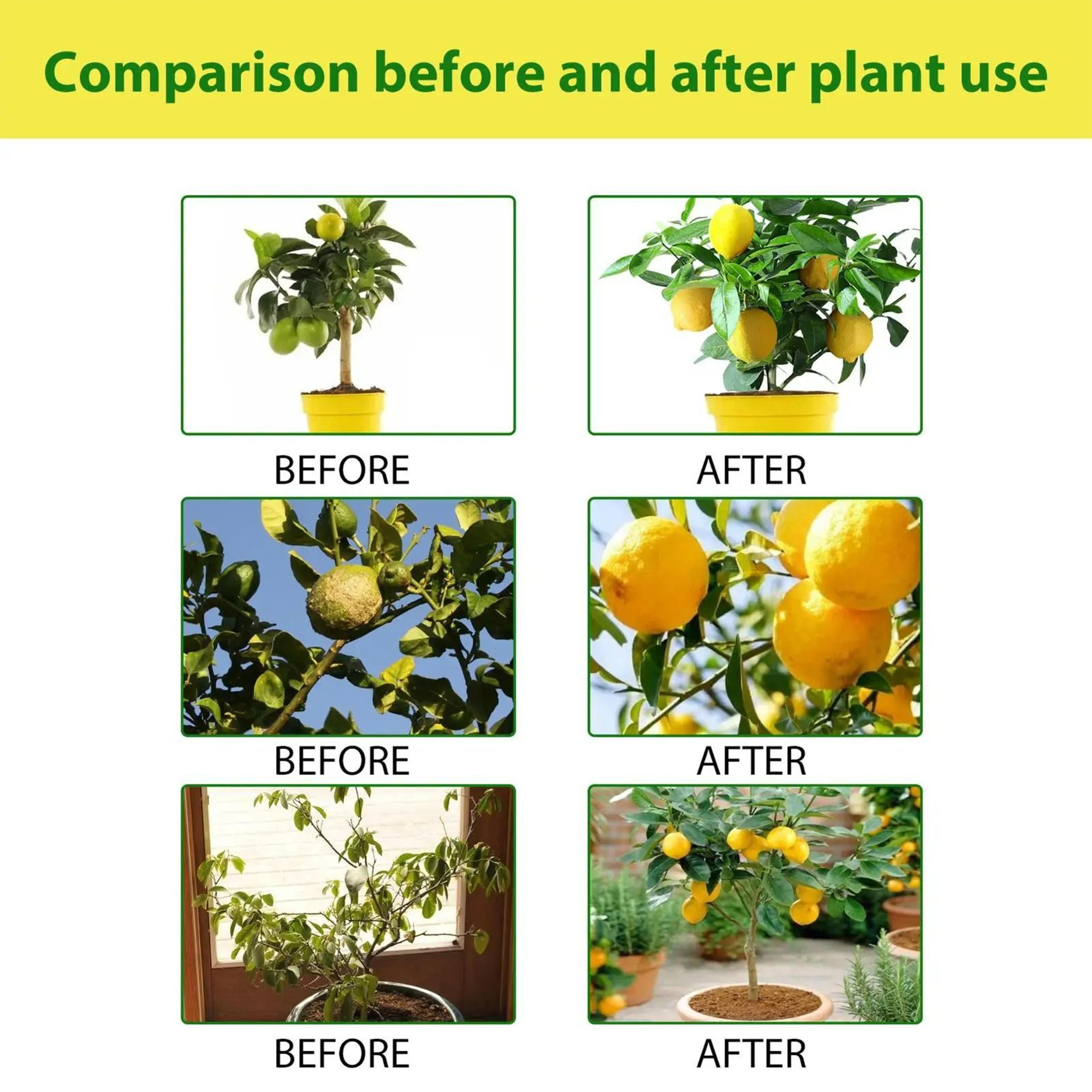 Organic Lemon And Citrus Tree Foliar Fertilizer Spray 4