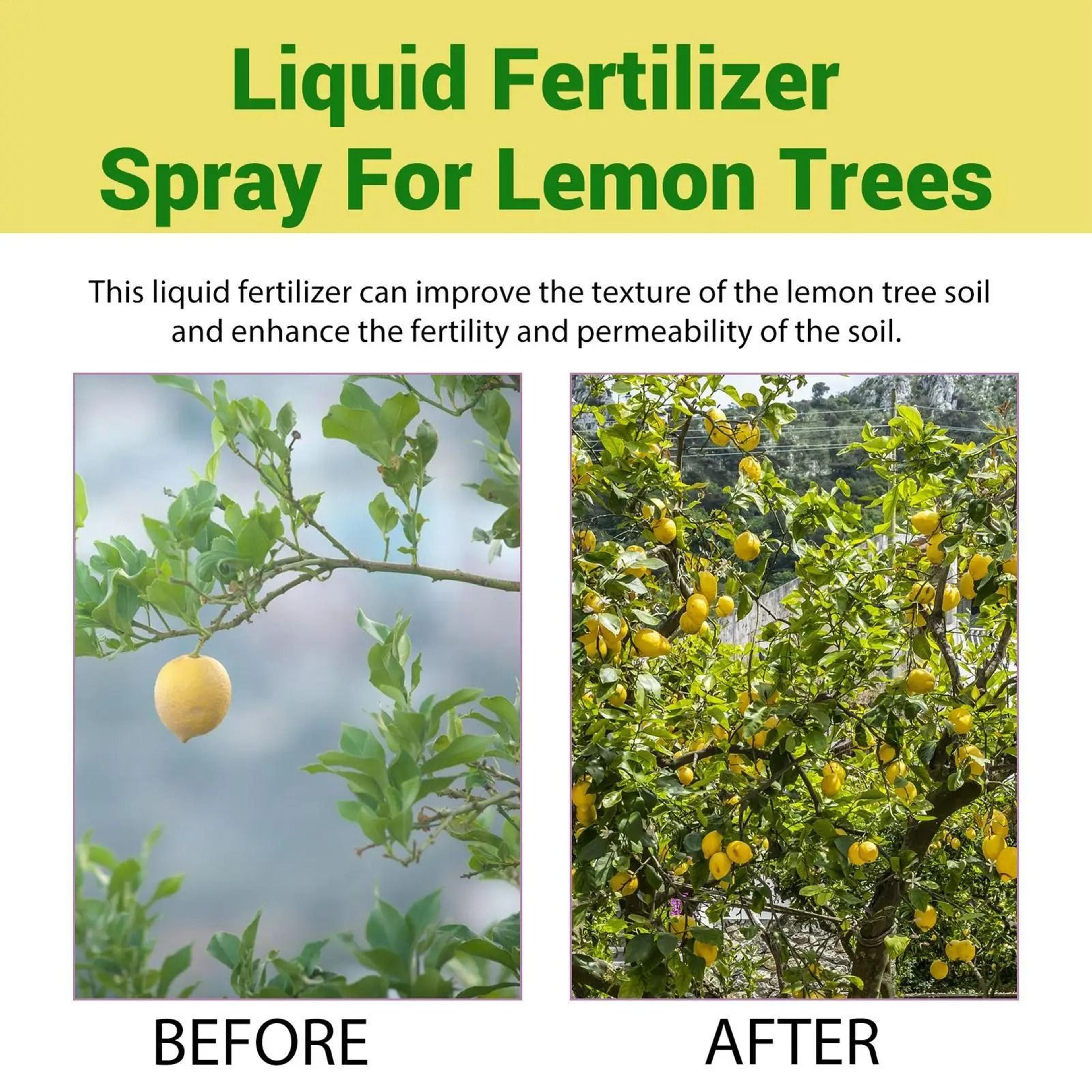 Organic Lemon And Citrus Tree Foliar Fertilizer Spray 3