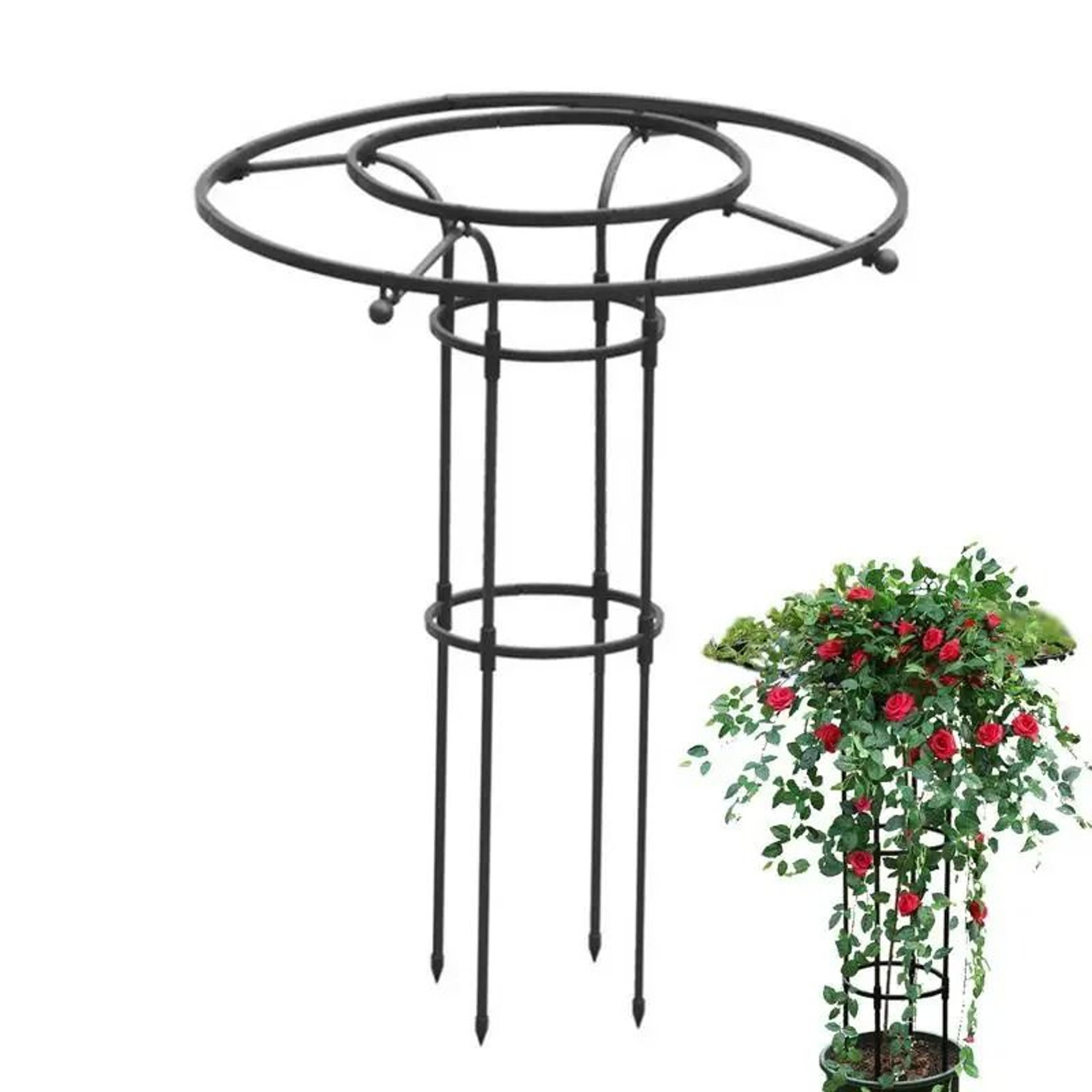 semicircle garden plant support stakes and climbing trellis