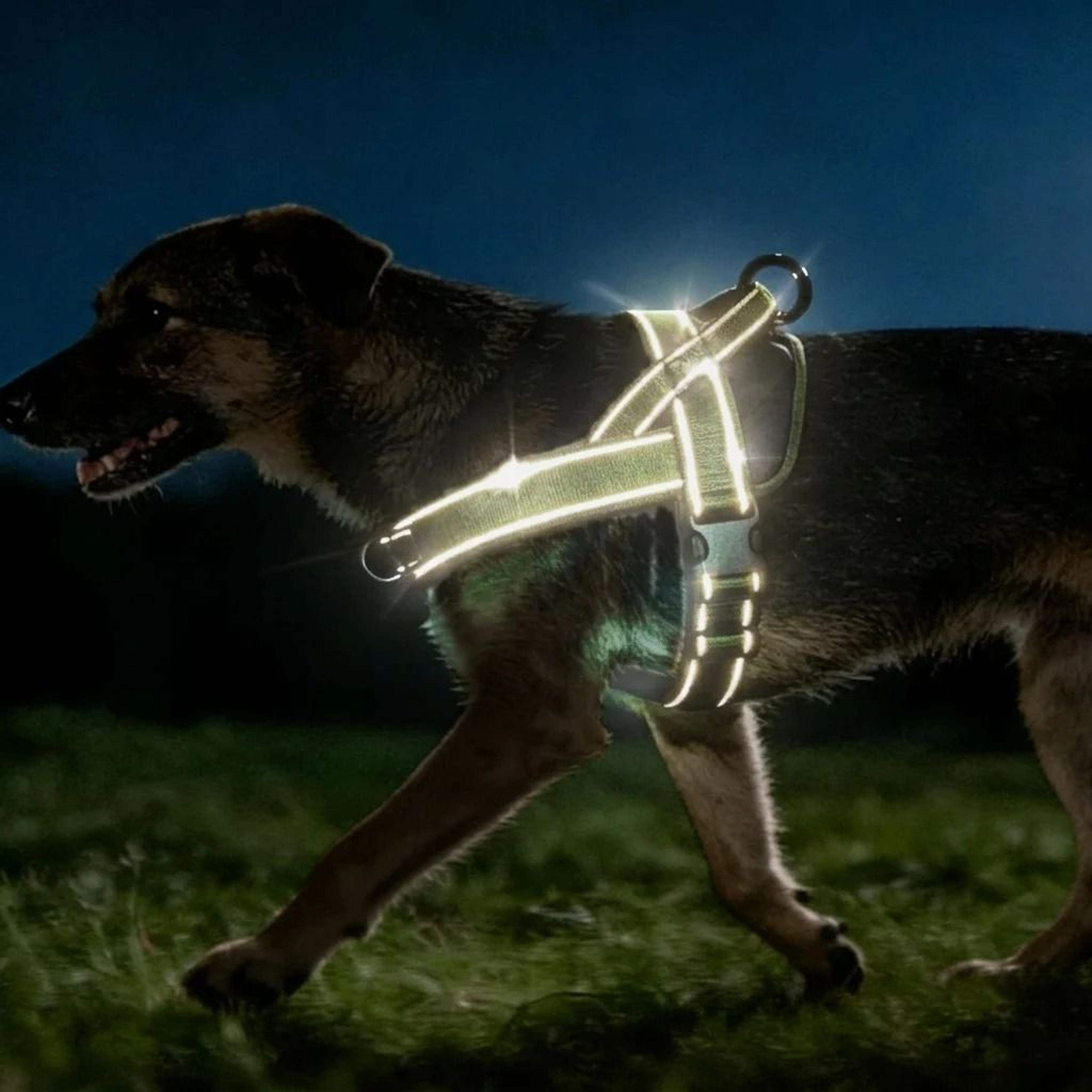 HeavyDuty Tactical NoPull Dog Harness  Reflective Control Vest 3