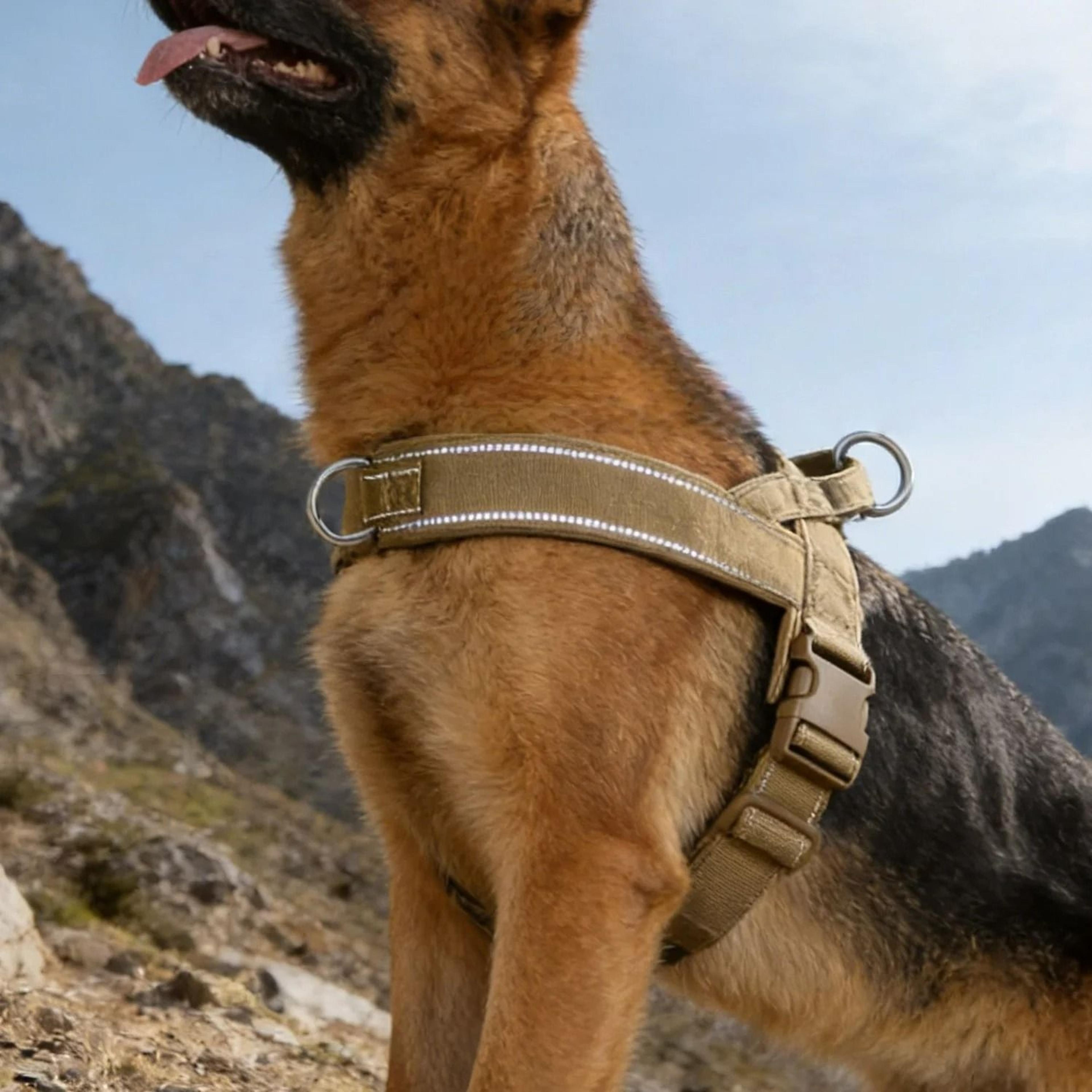 heavy-duty tactical no-pull dog harness & reflective control vest