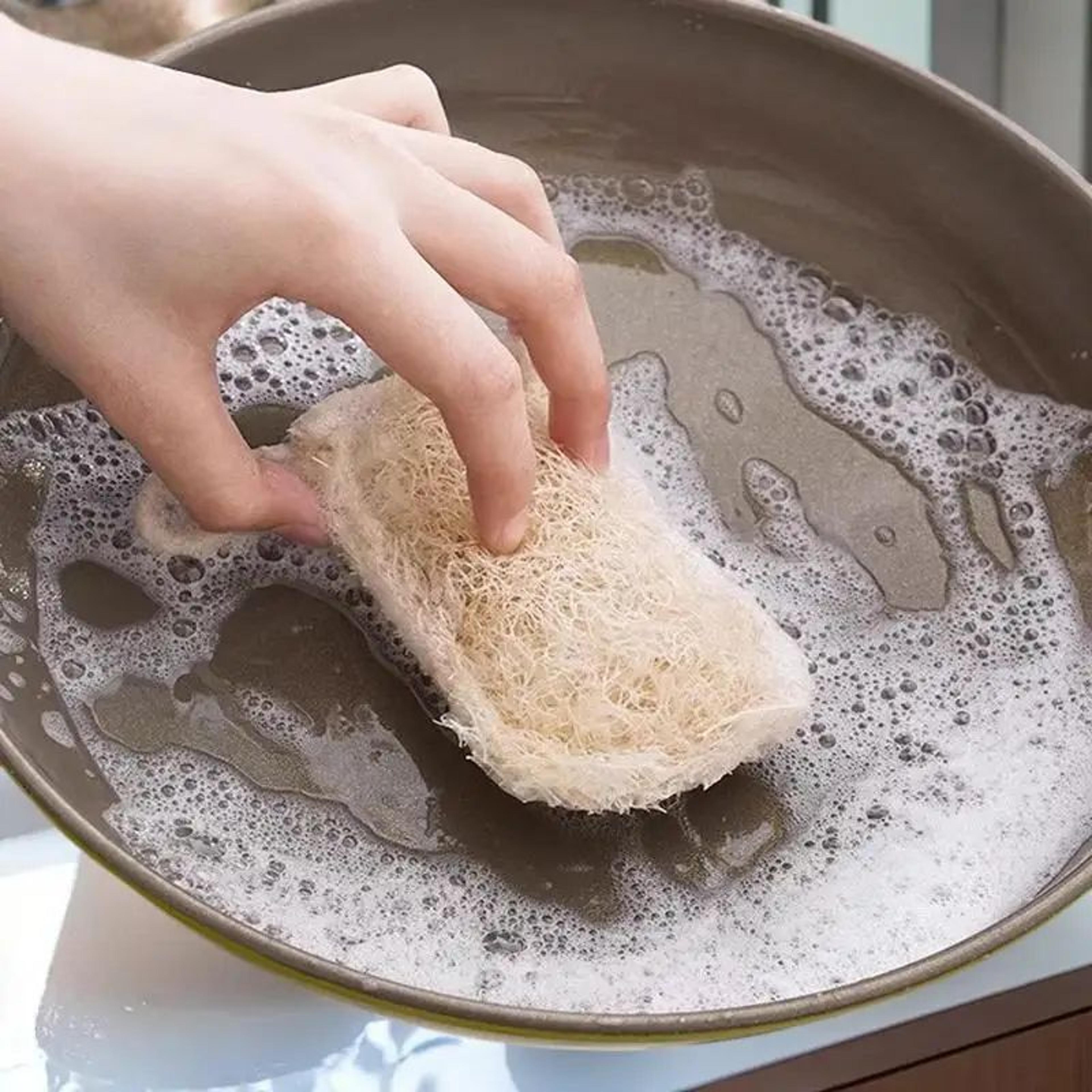 Natural Luffa Dish Sponge Set Eco Friendly Kitchen Scrubber Pads 6 Pack 1