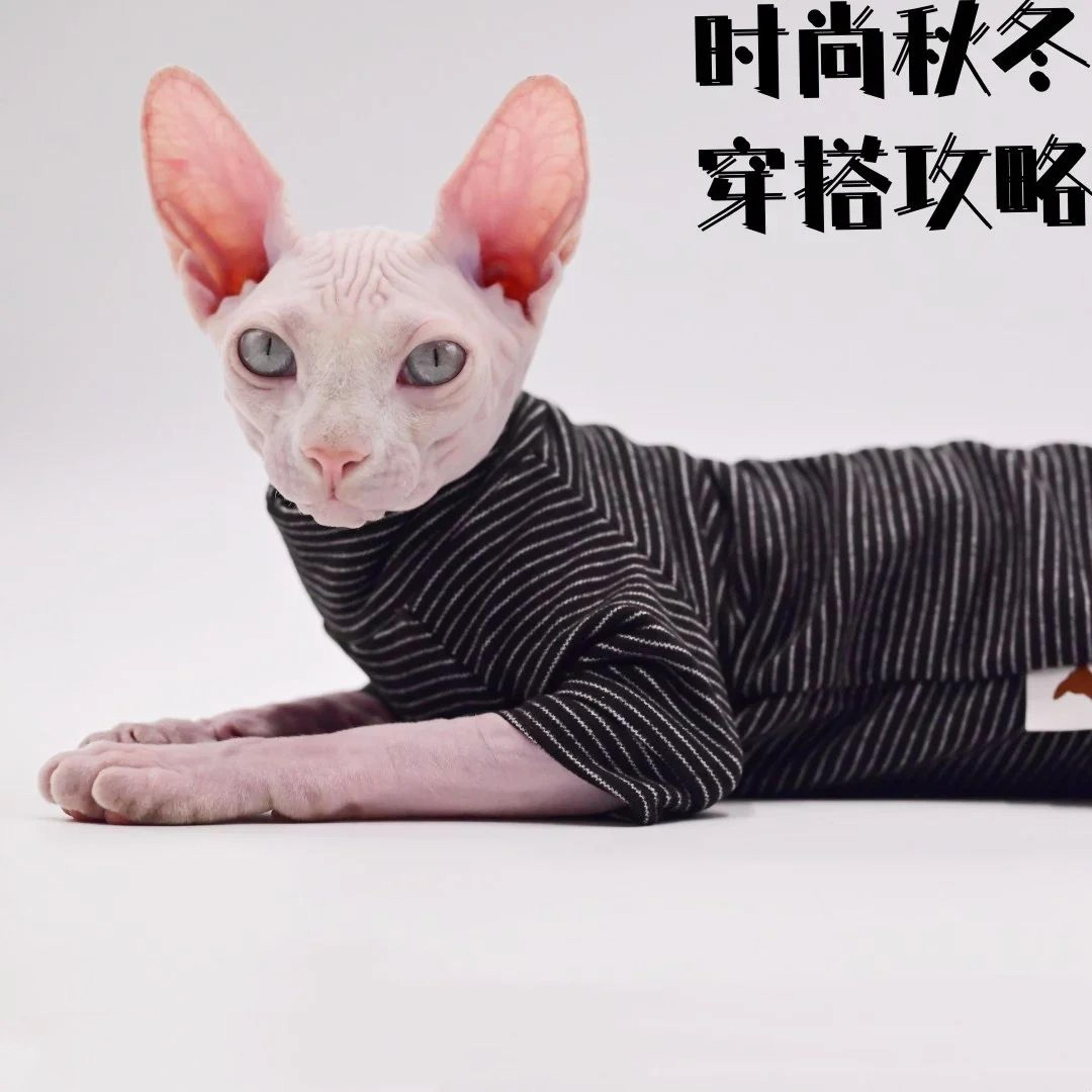 WarmPurr Cozy Cat Jacket For Hairless Cats 4