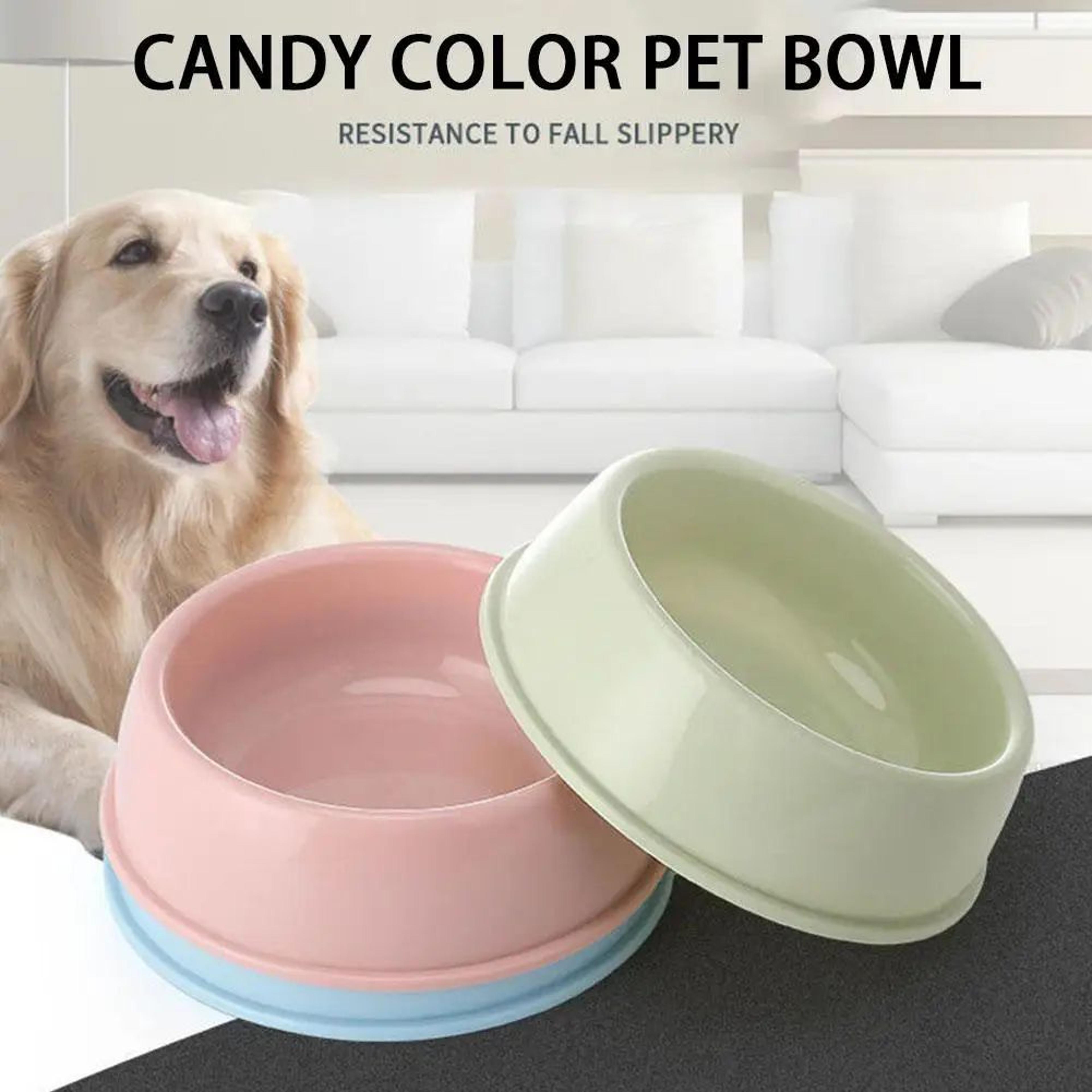 CandyPaws Pet Feeding Bowl Colorful Cat And Dog Food Bowl 2