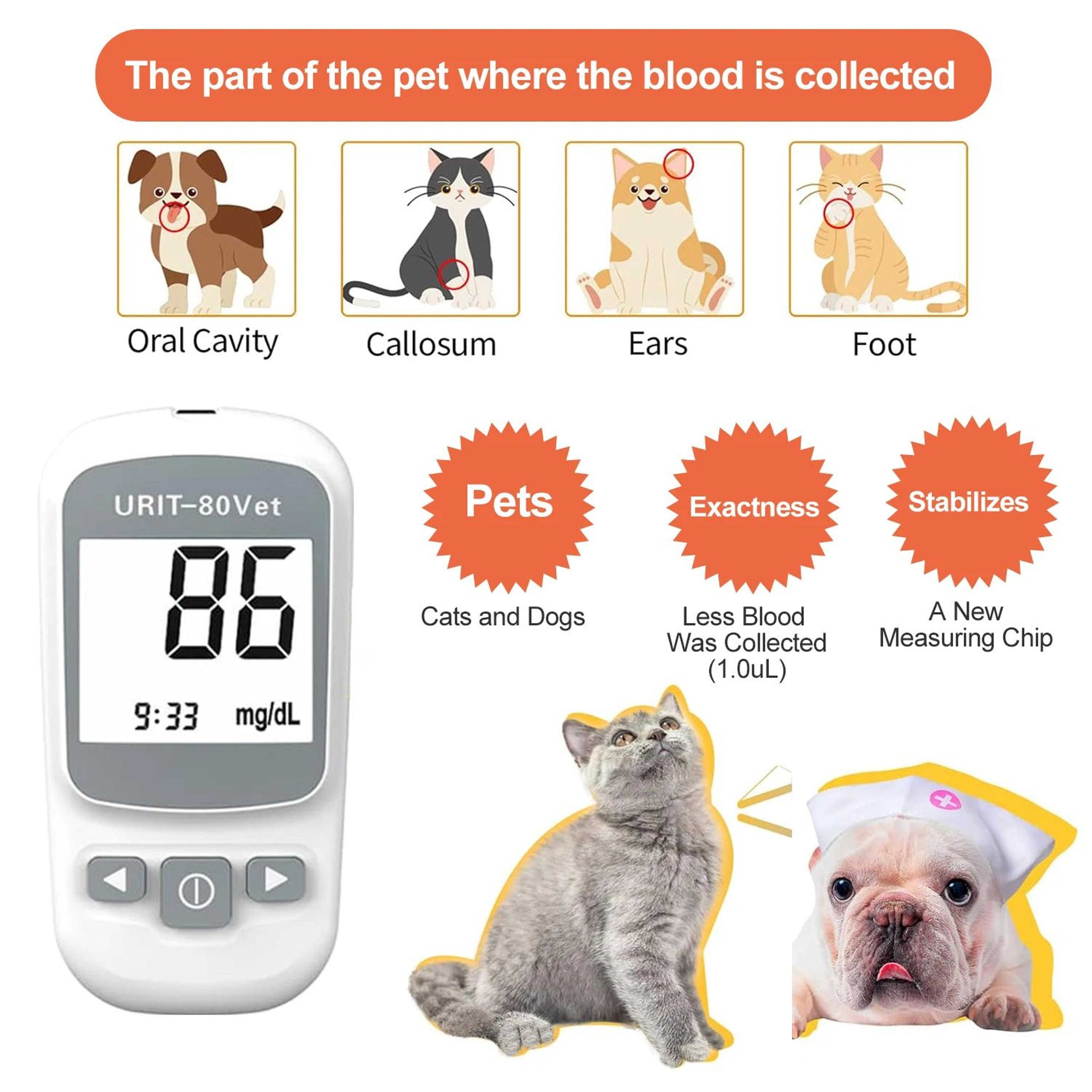 Pet Glucose Monitoring Kit For Dogs And Cats With Easy No Coding Testing 1