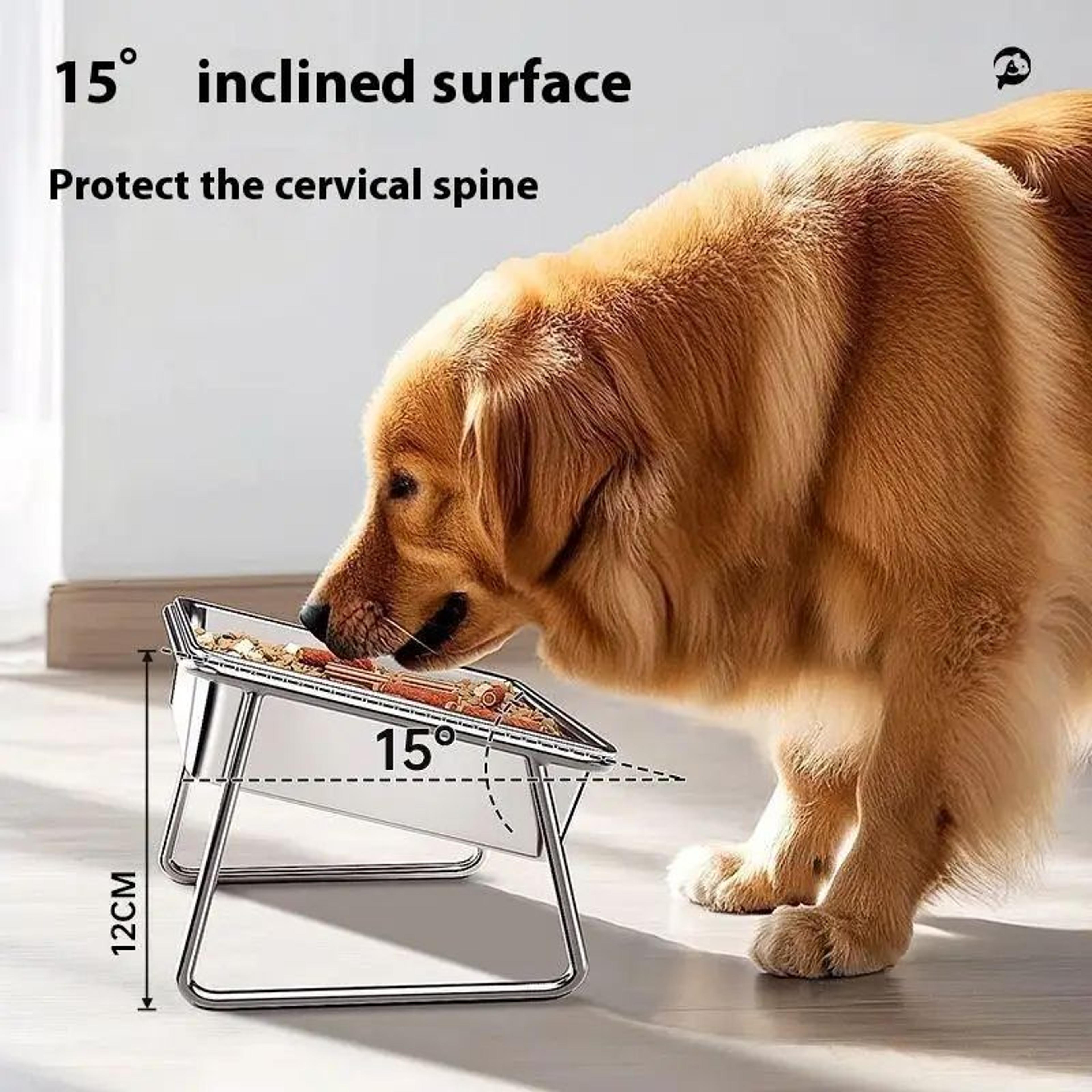 Stainless Steel Double Pet Bowl With Anti Tip Feeding Station 4