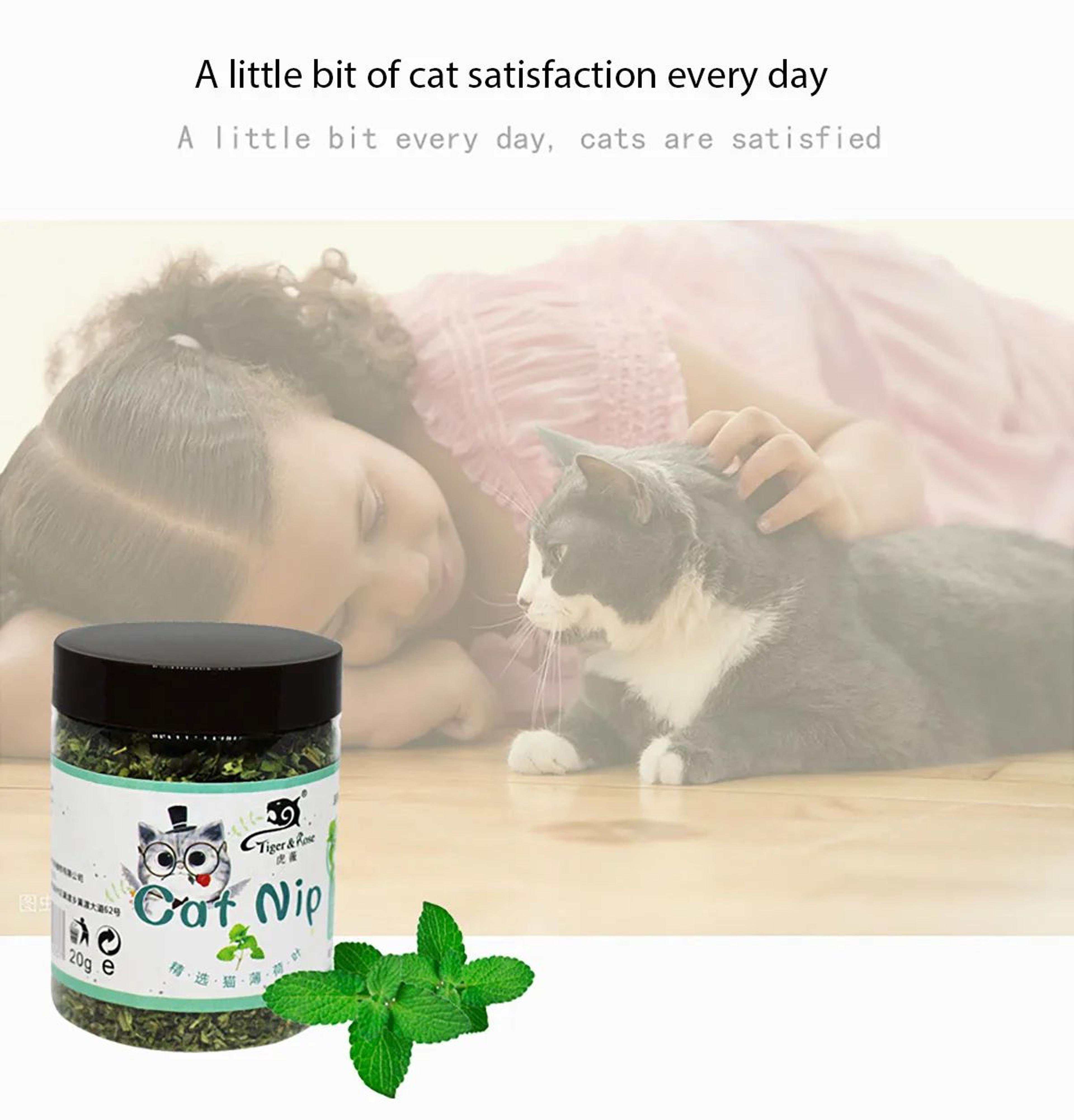 Natural Catnip Grass Mint Interactive Cat Toy 1