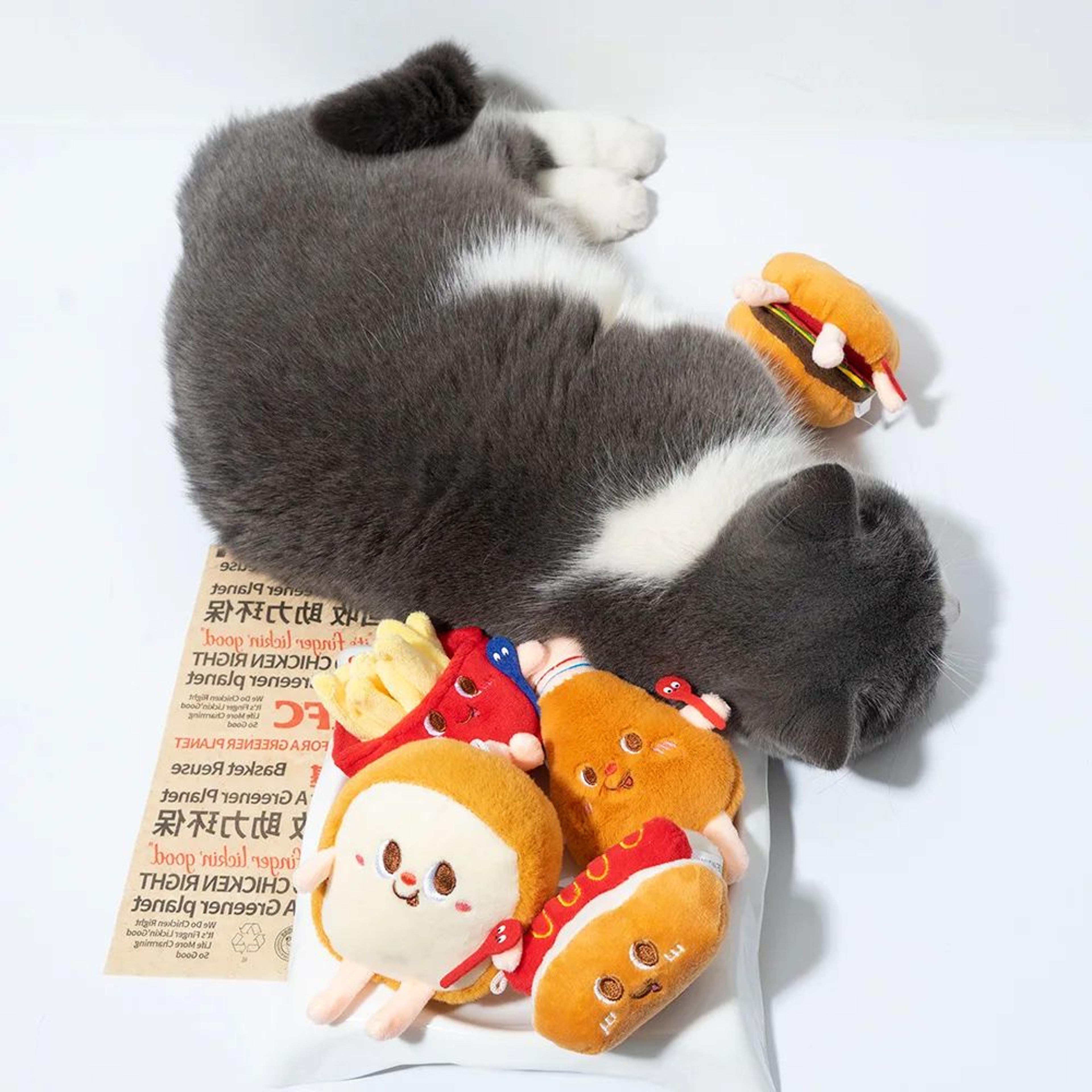 Catnip Plush Food Toy For Cats 2