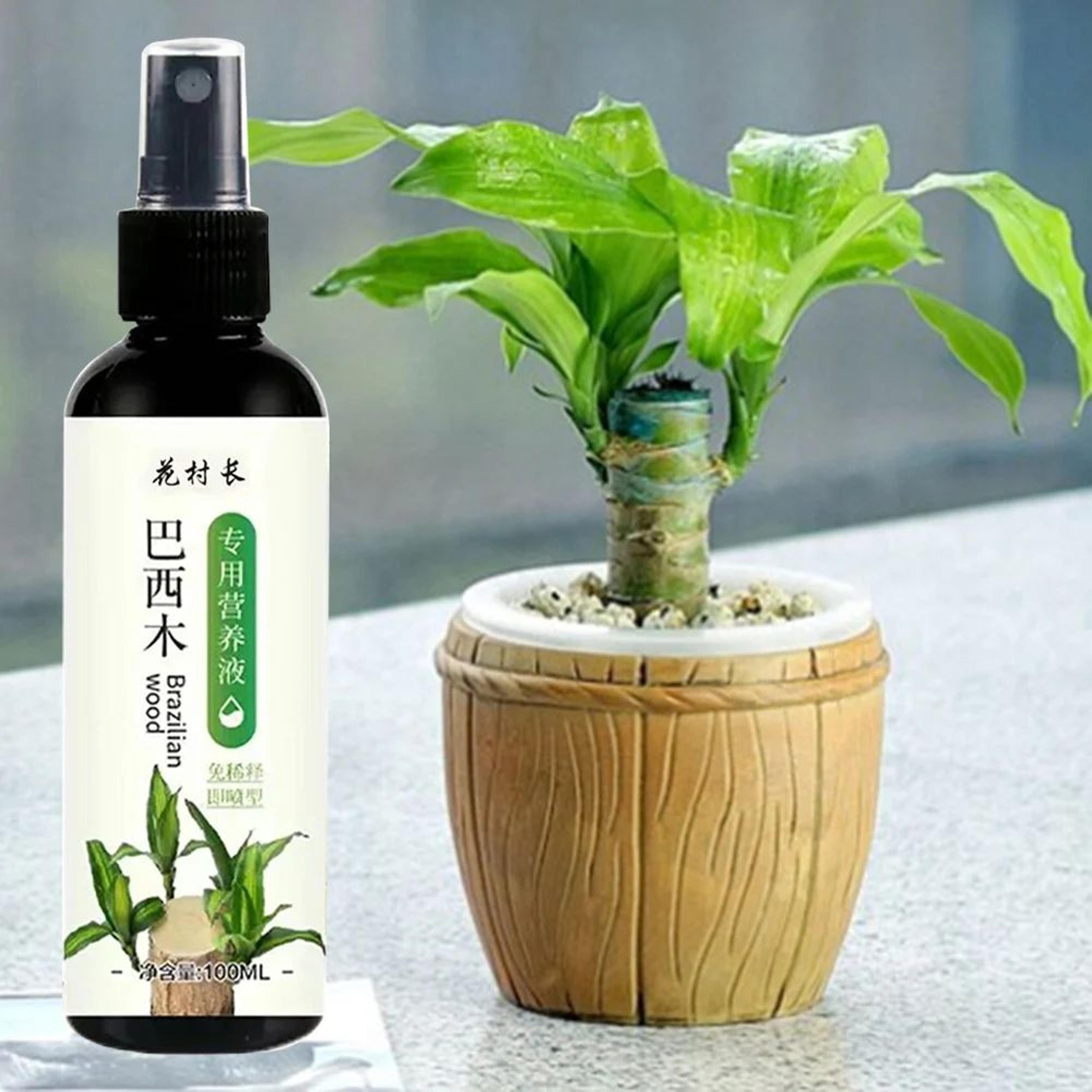 100ml Liquid Plant Fertilizer For Indoor Plants Flowers And Hydroponic Gardening 1