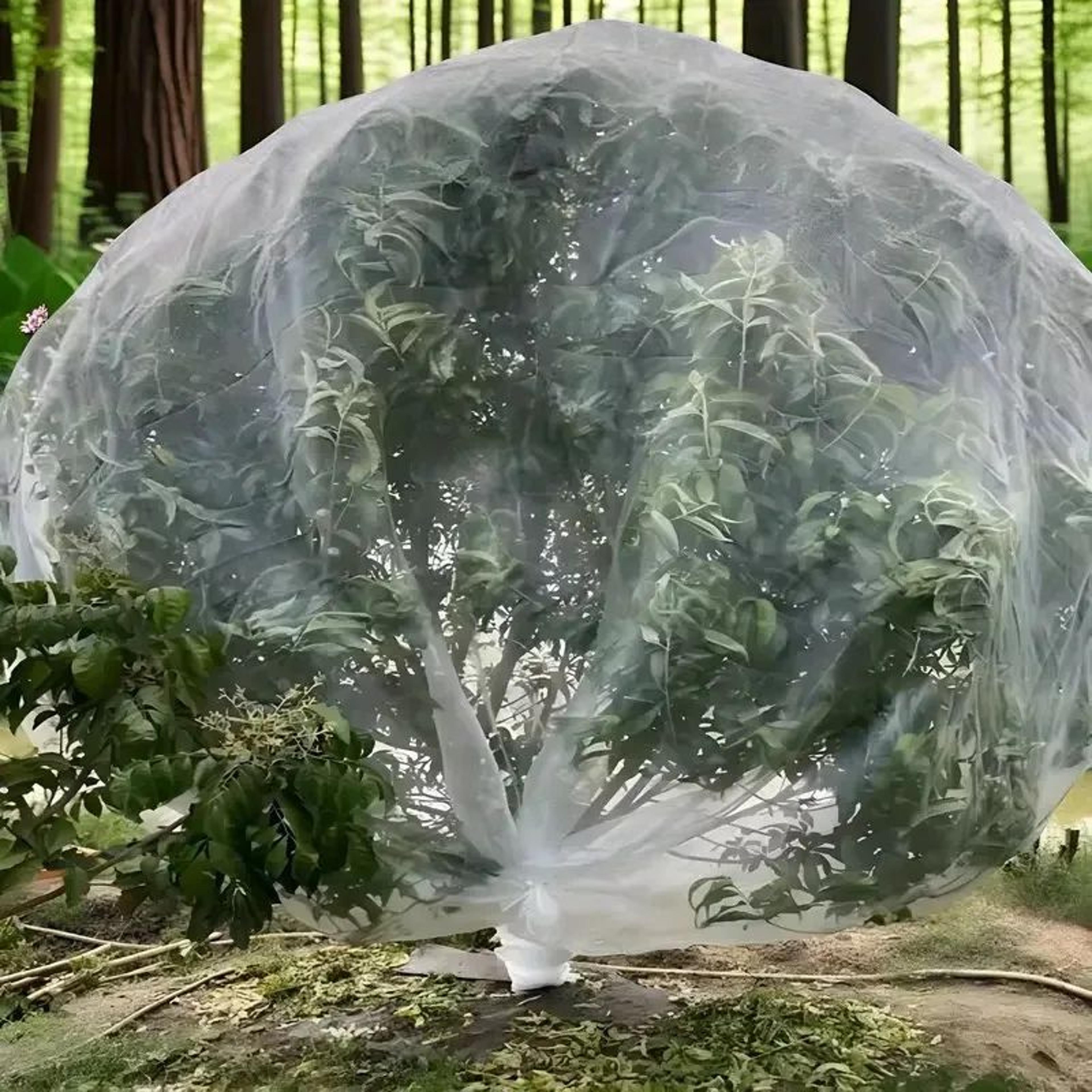 Outdoor Garden Plant Protection Insect Net 4