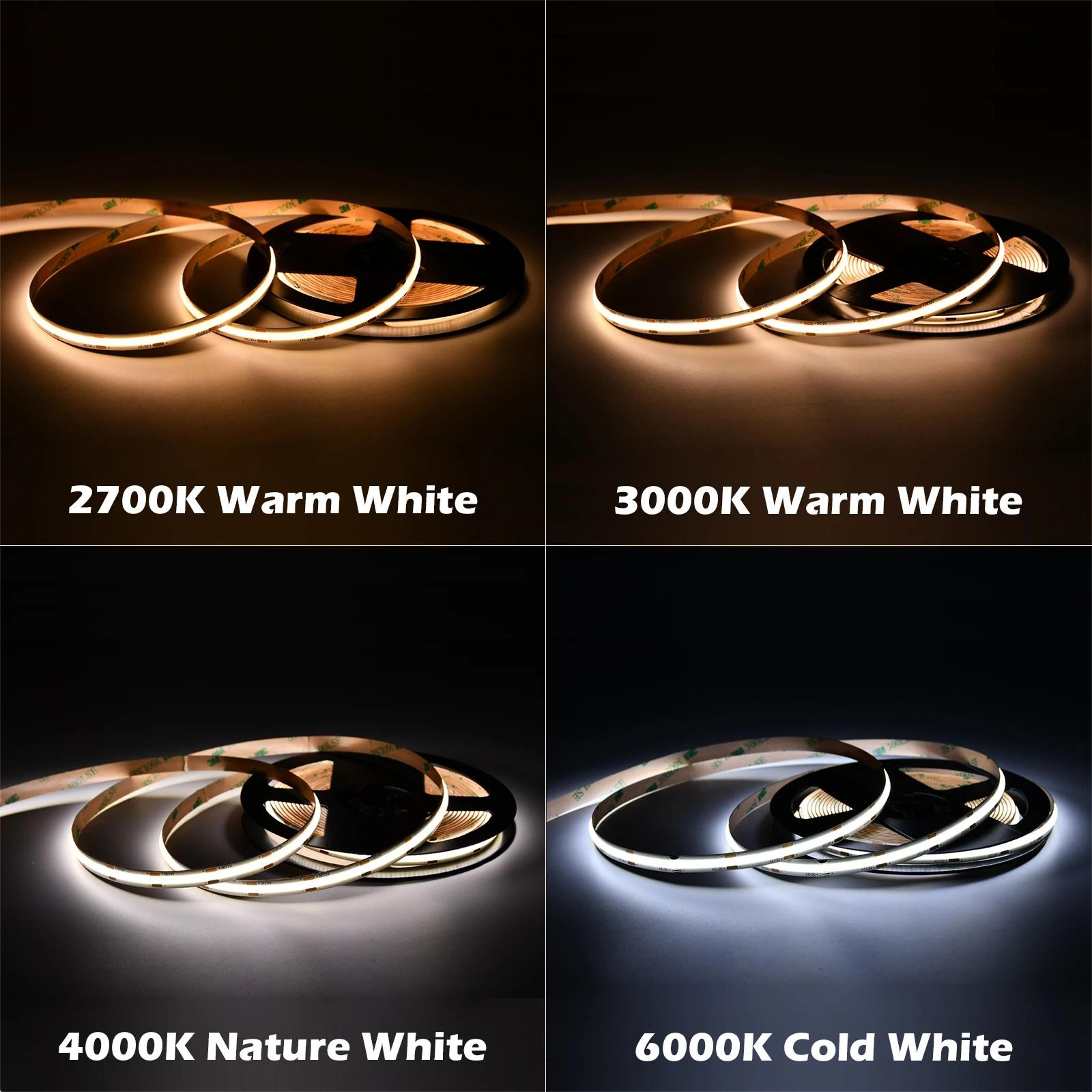 LumiRibbon High Density Dimmable COB LED Strip Light 5