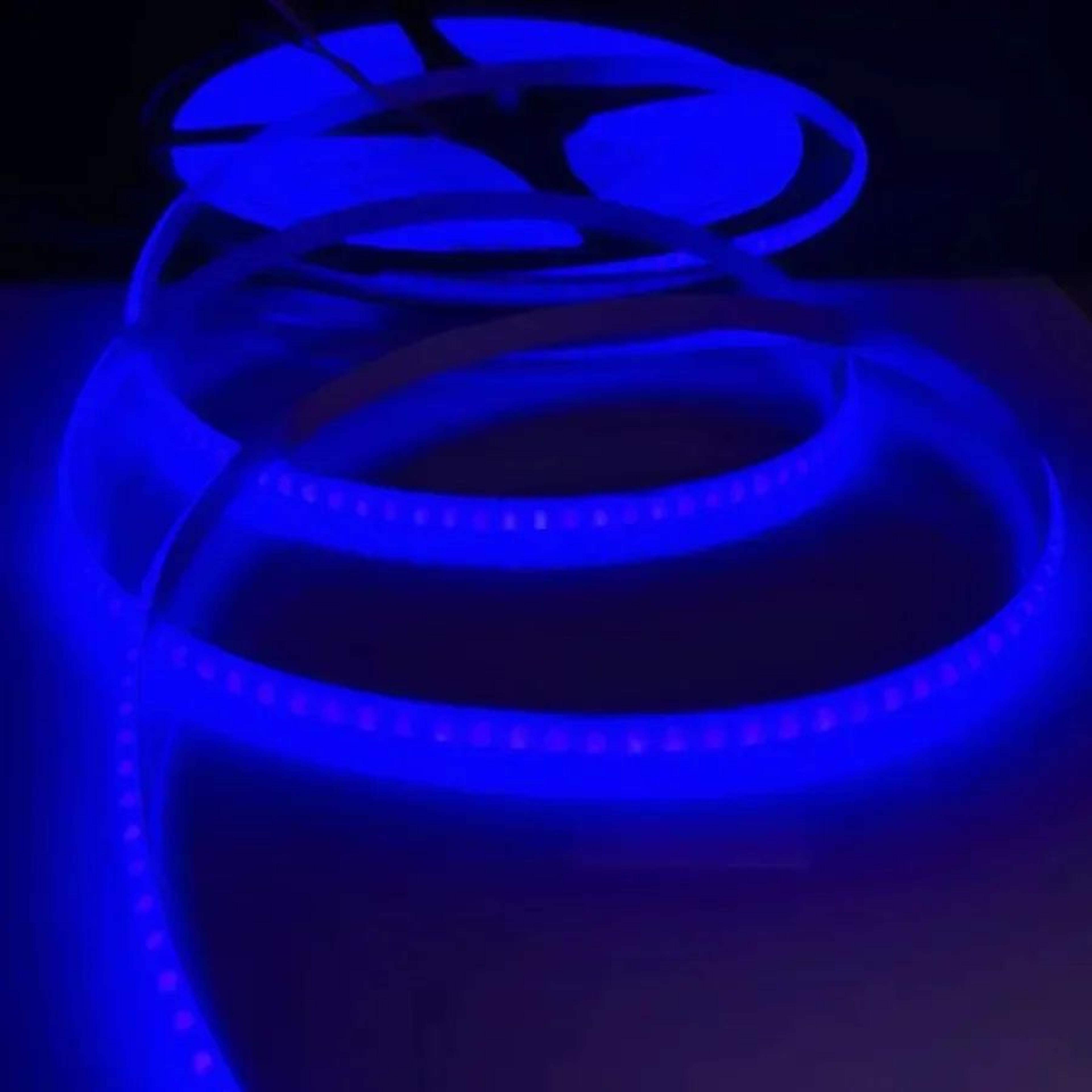 High Brightness 220V COB LED Strip Light 6