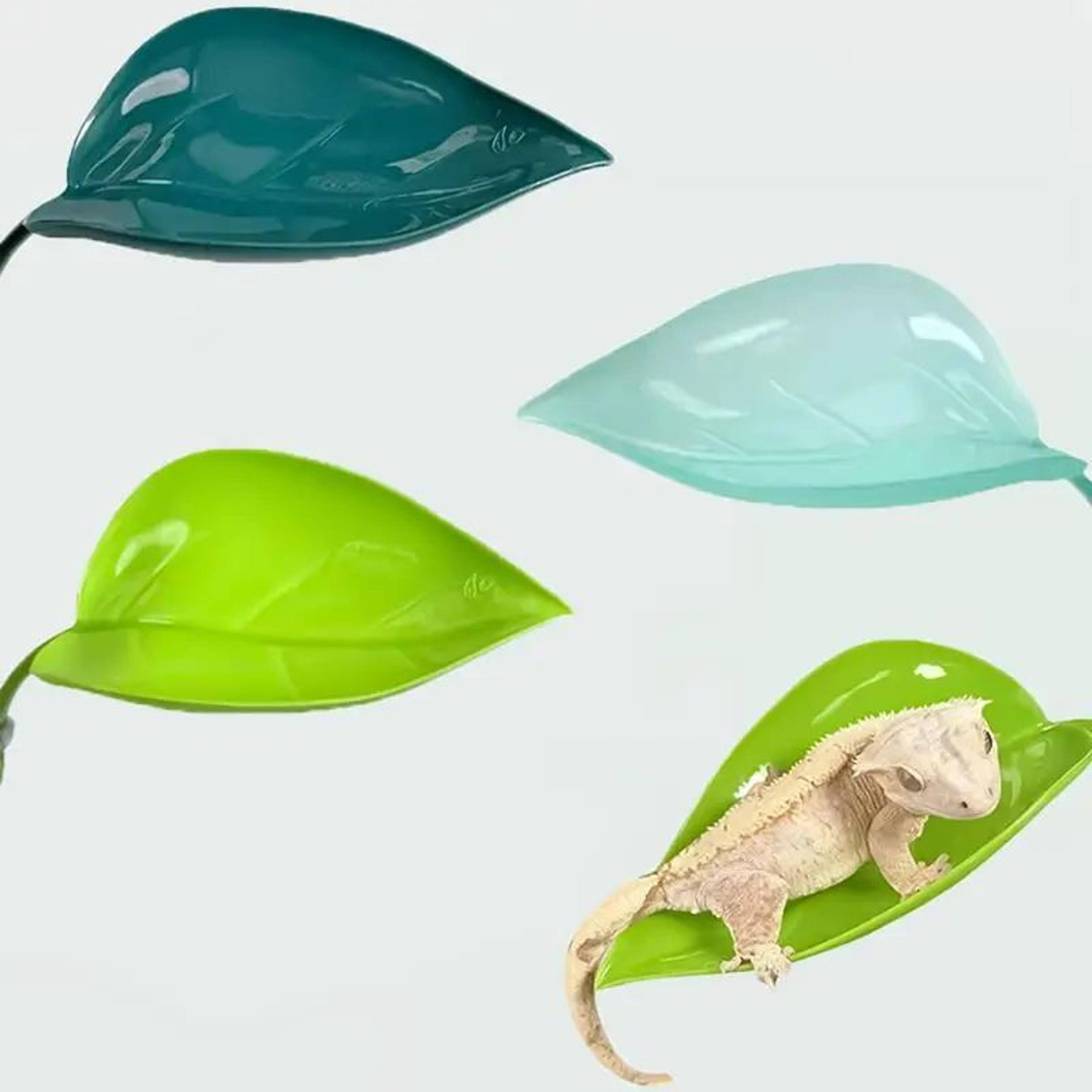 suction cup reptile leaf resting platform