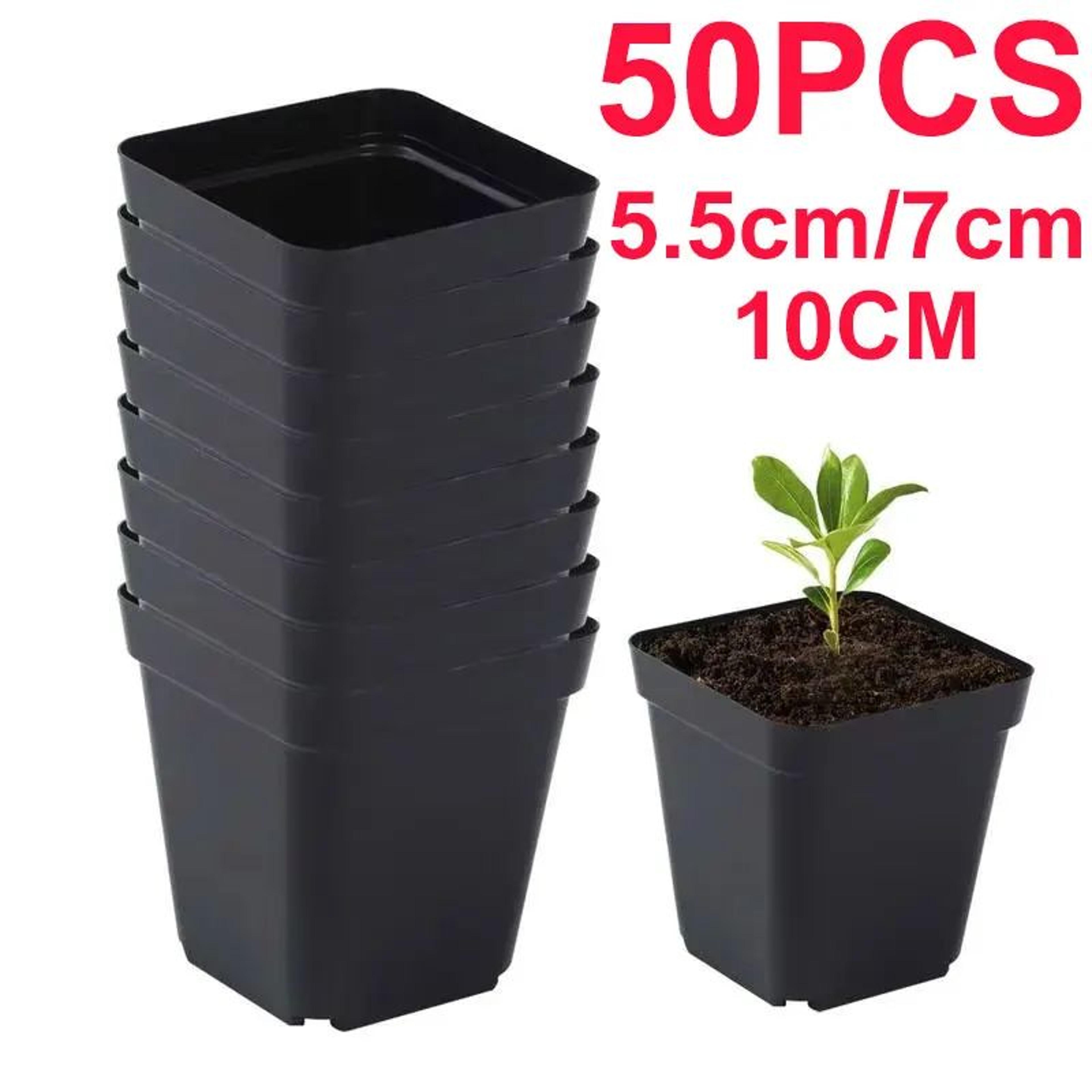 50 piece deep square seedling pots