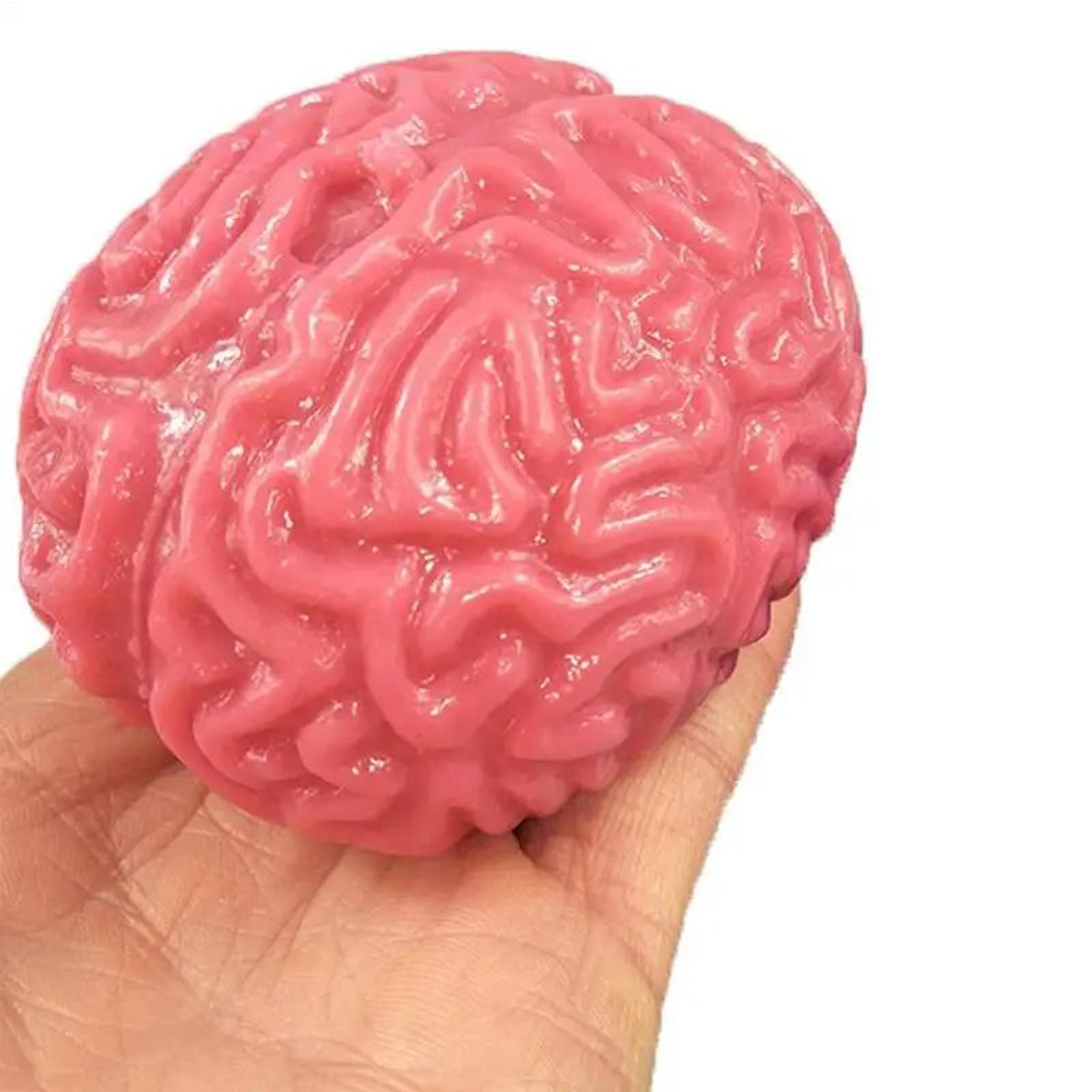 brain shape rebound squeeze ball
