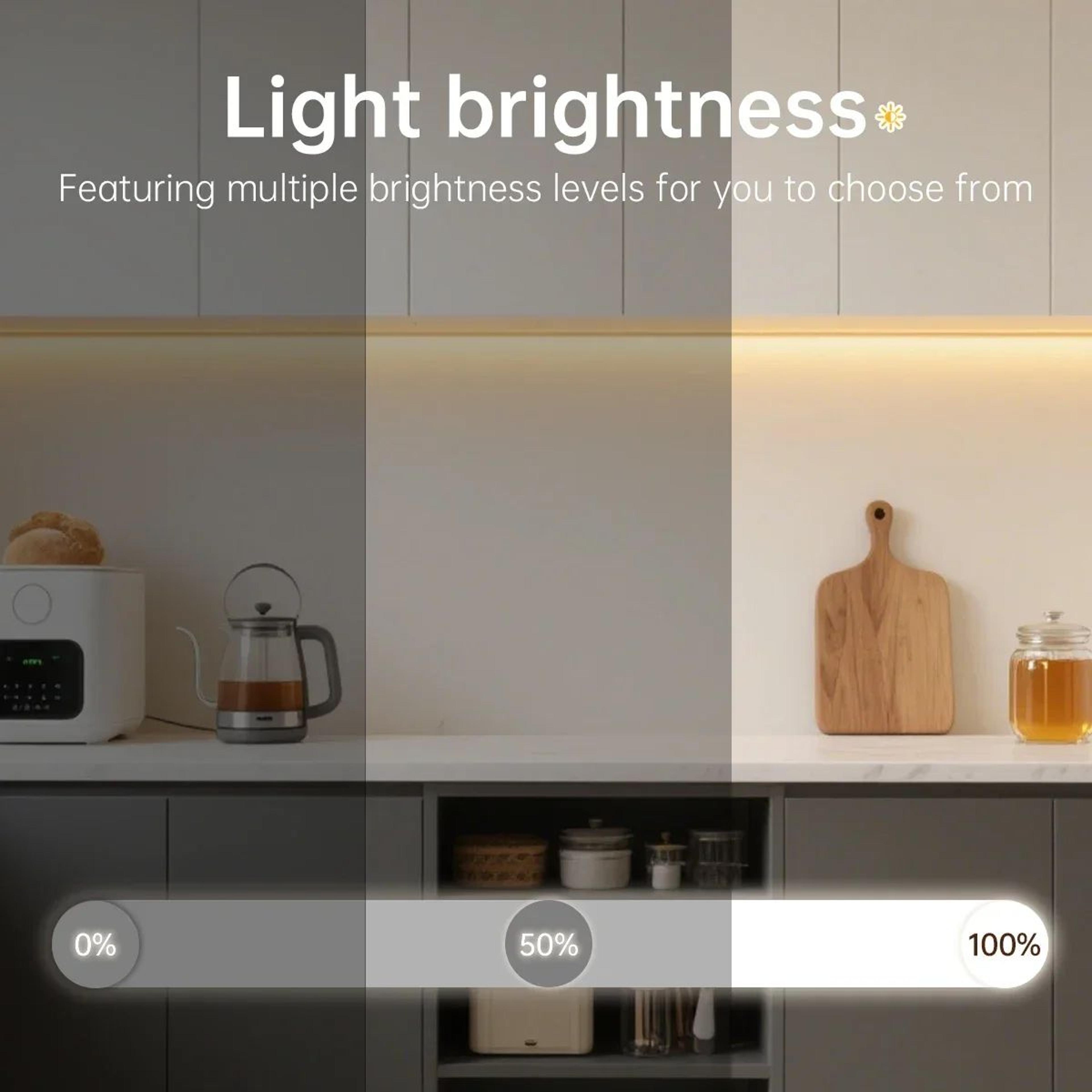 Dimmable COB LED Strip Light With Remote Control 3