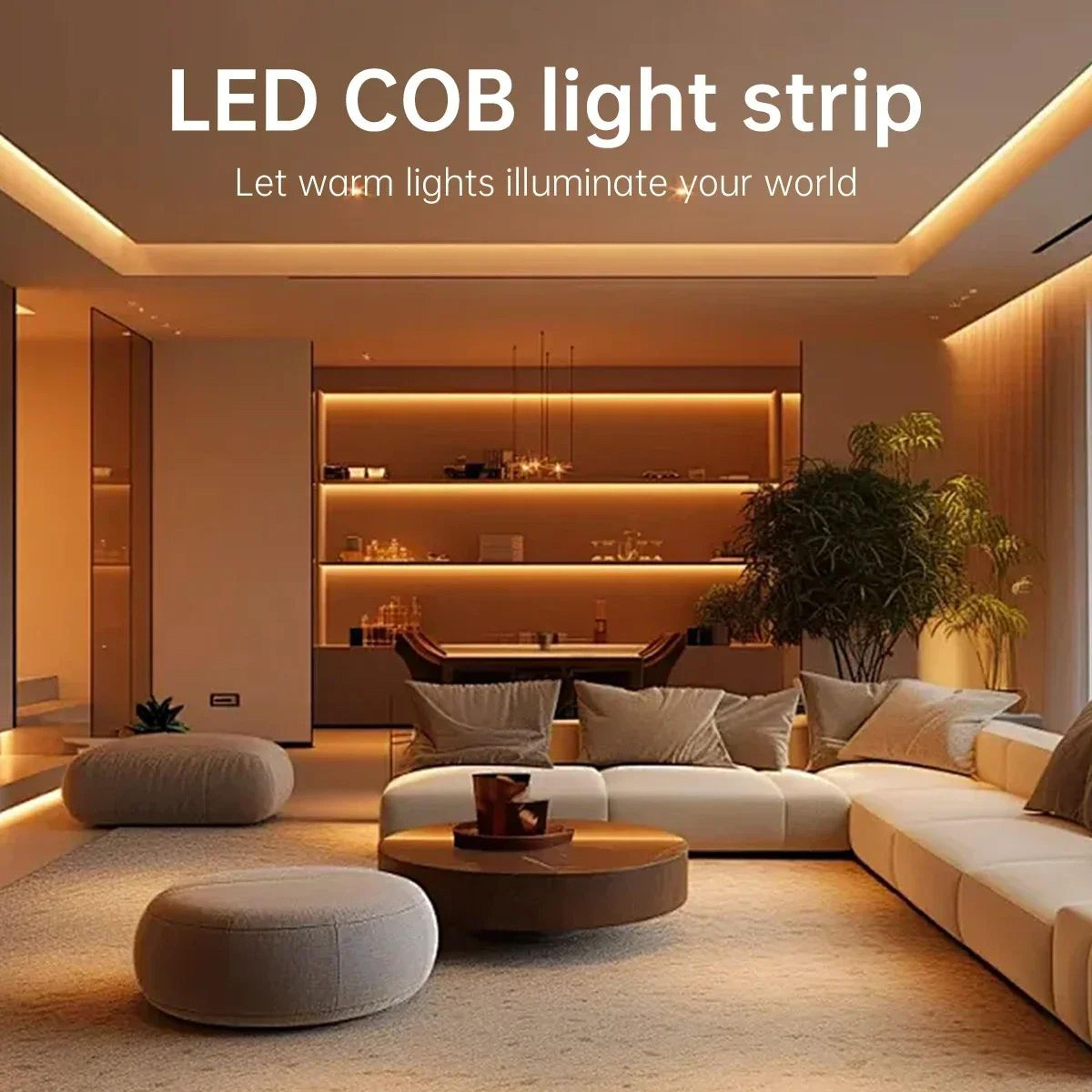 Dimmable COB LED Strip Light With Remote Control 1