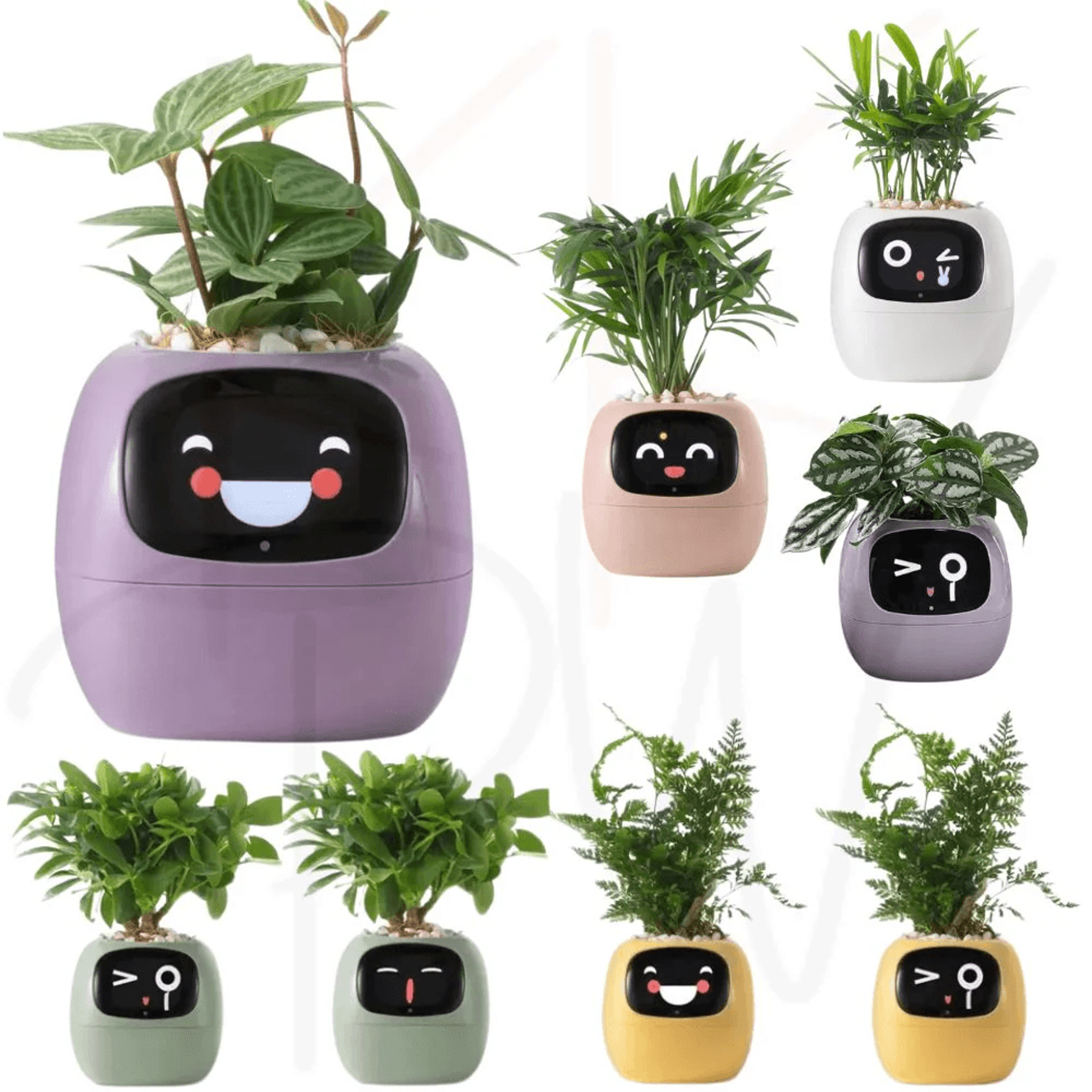 ivy ai smart plant pot with sensors and interactive indoor gardening companion