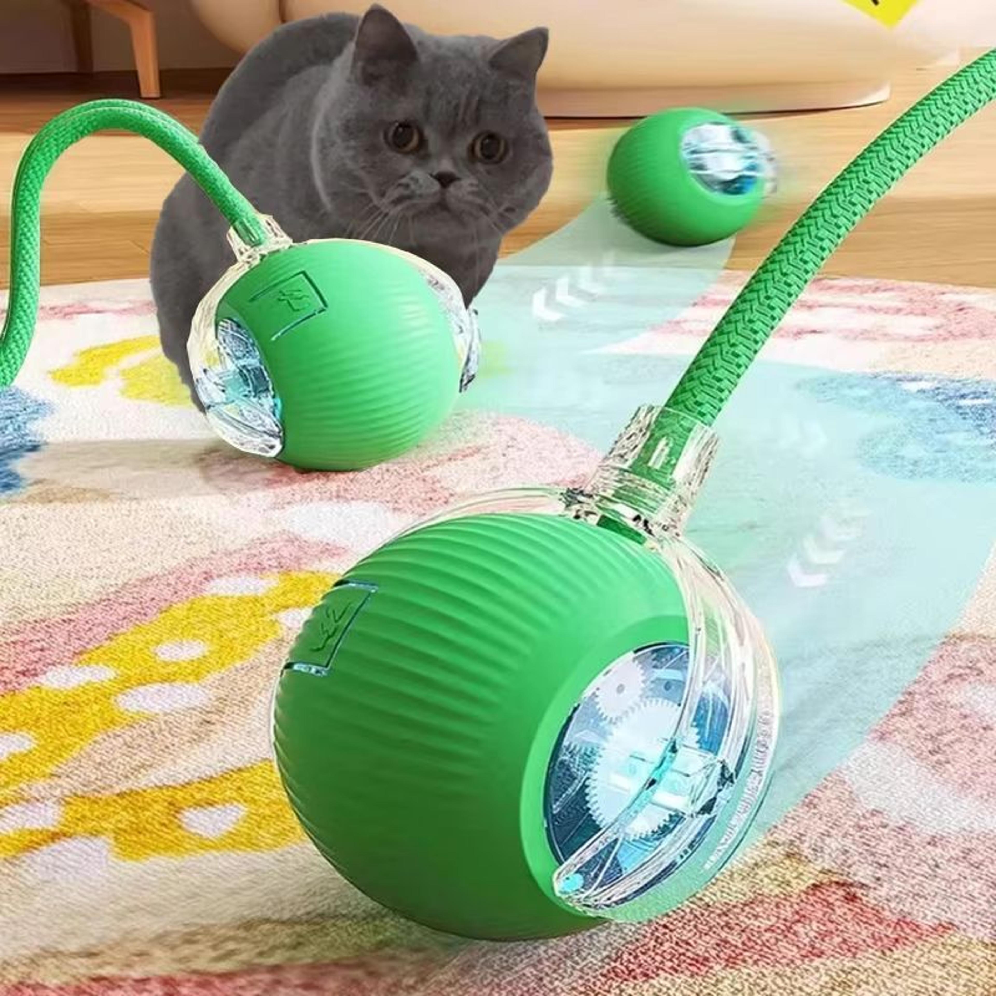 smart roll play cat ball toy usb rechargeable automatic interactive for cats