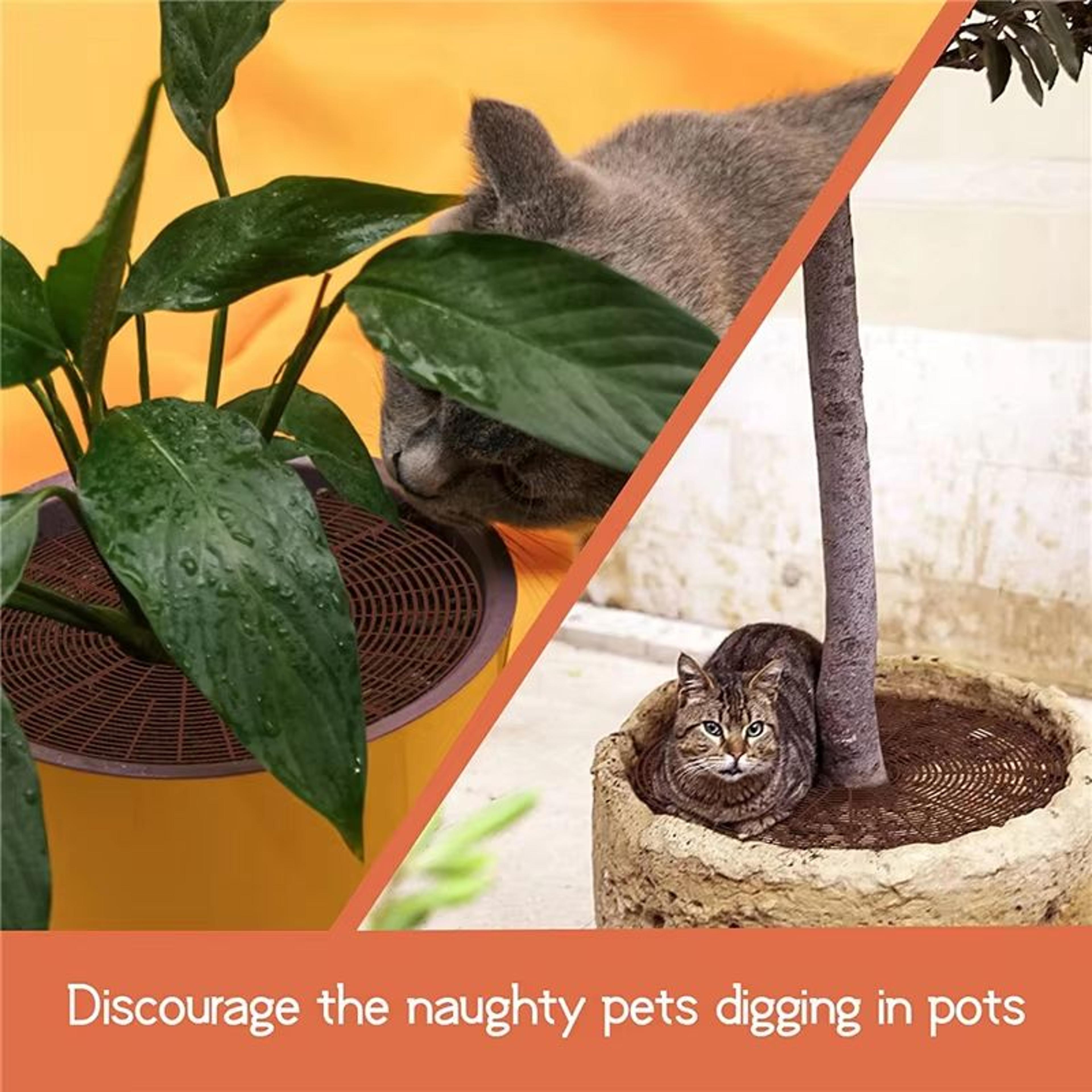 CatProof Plant Pot Soil Guard With Fixing Nails 3
