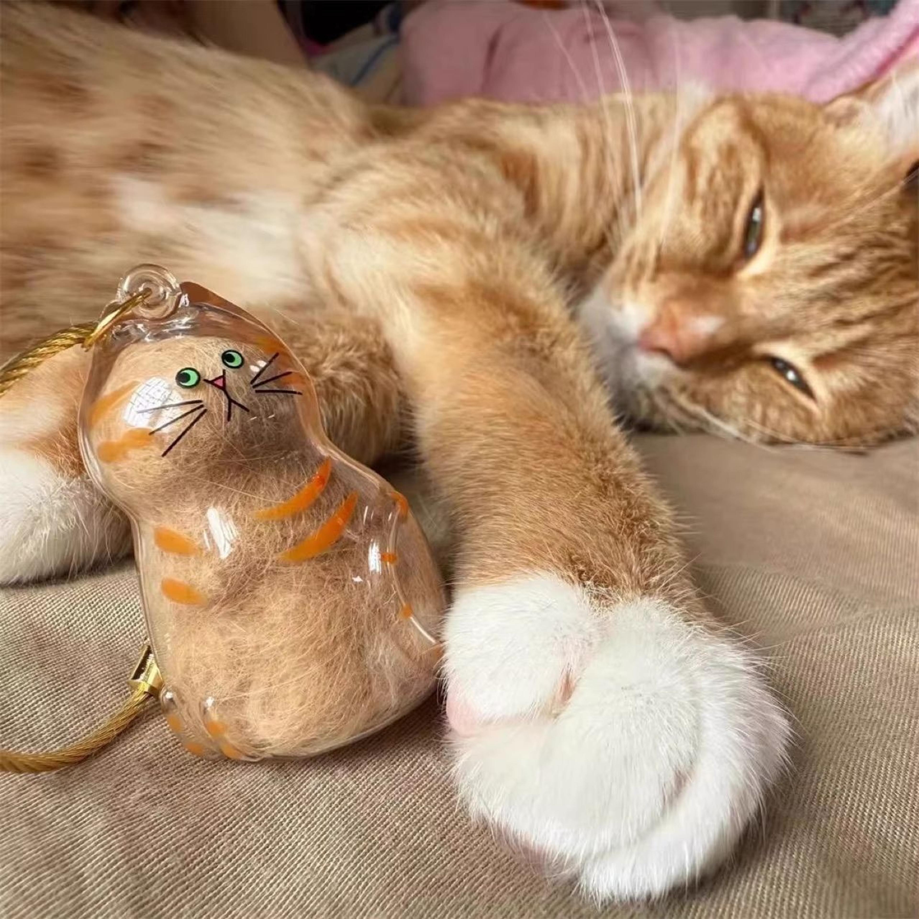 transparent pet fur storage capsule hanging ornament for cat & dog hair keepsakes