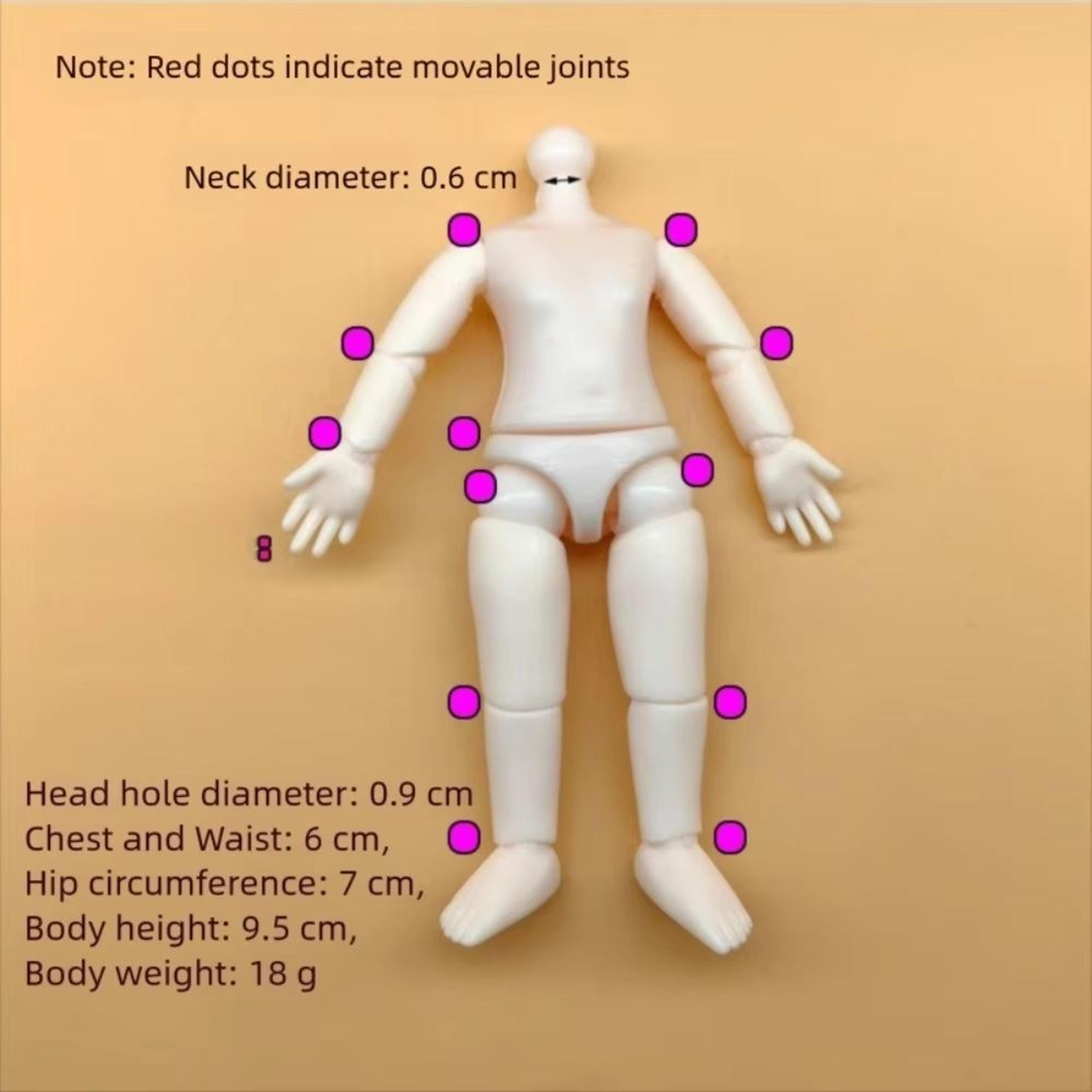 Poseable PVC AnimeStyle Doll Body Figure For Customization 5