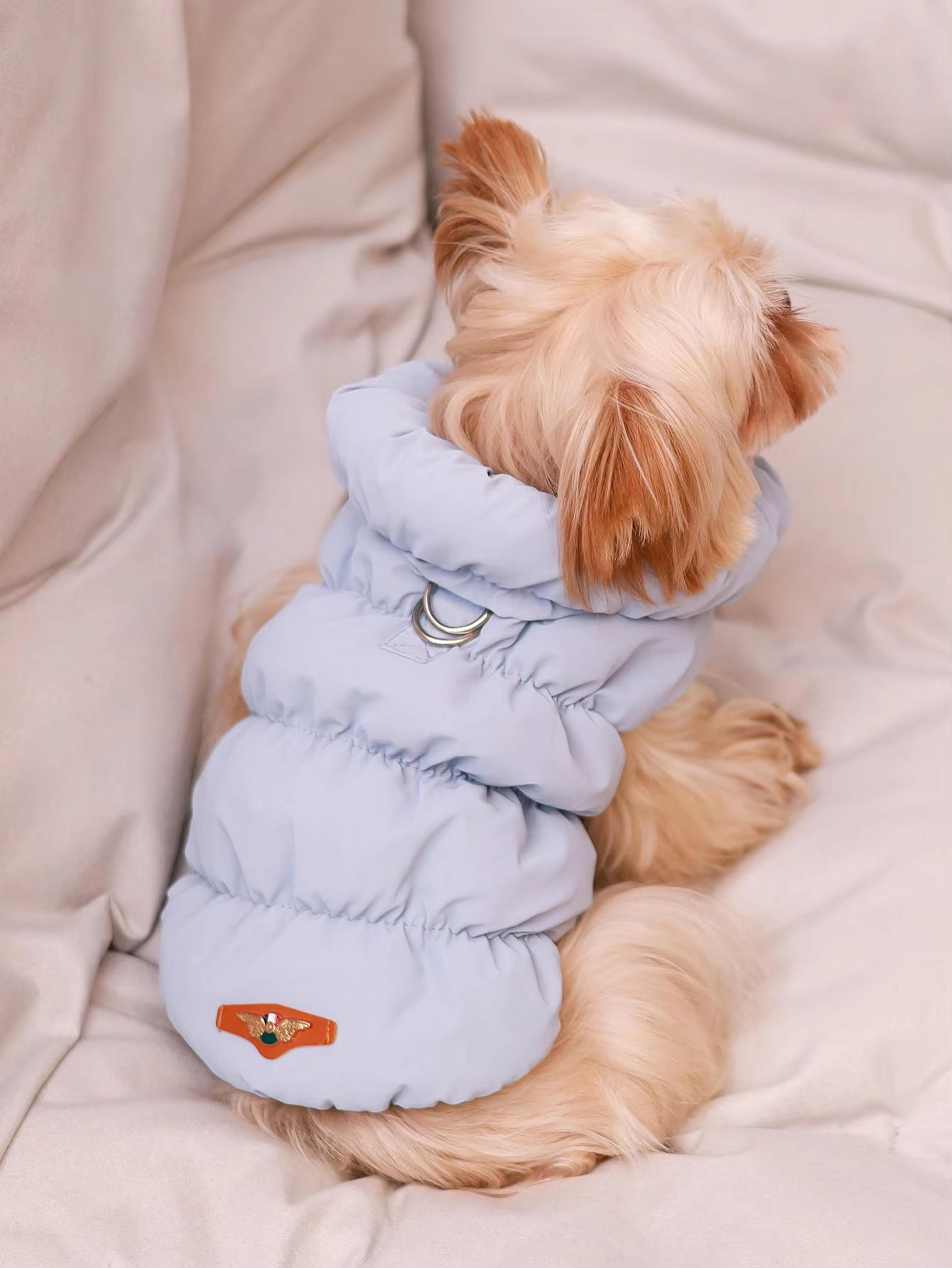 CozyShield 3 Layer Dog Jacket For Small And Medium Dogs 1