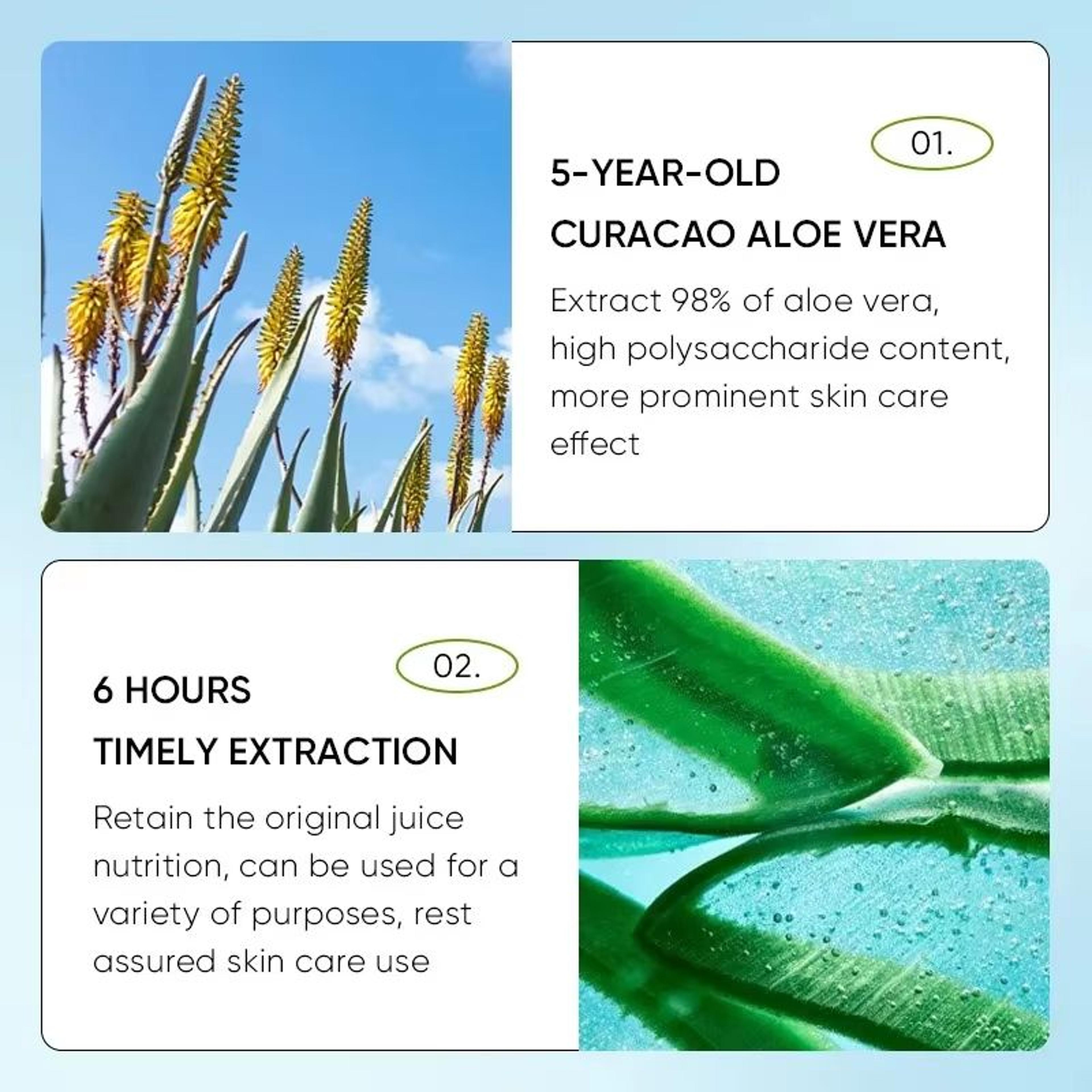Aloe Lip Balm Hydrating Moisturizing Lip Repair Stick For Dry Cracked Lips 2