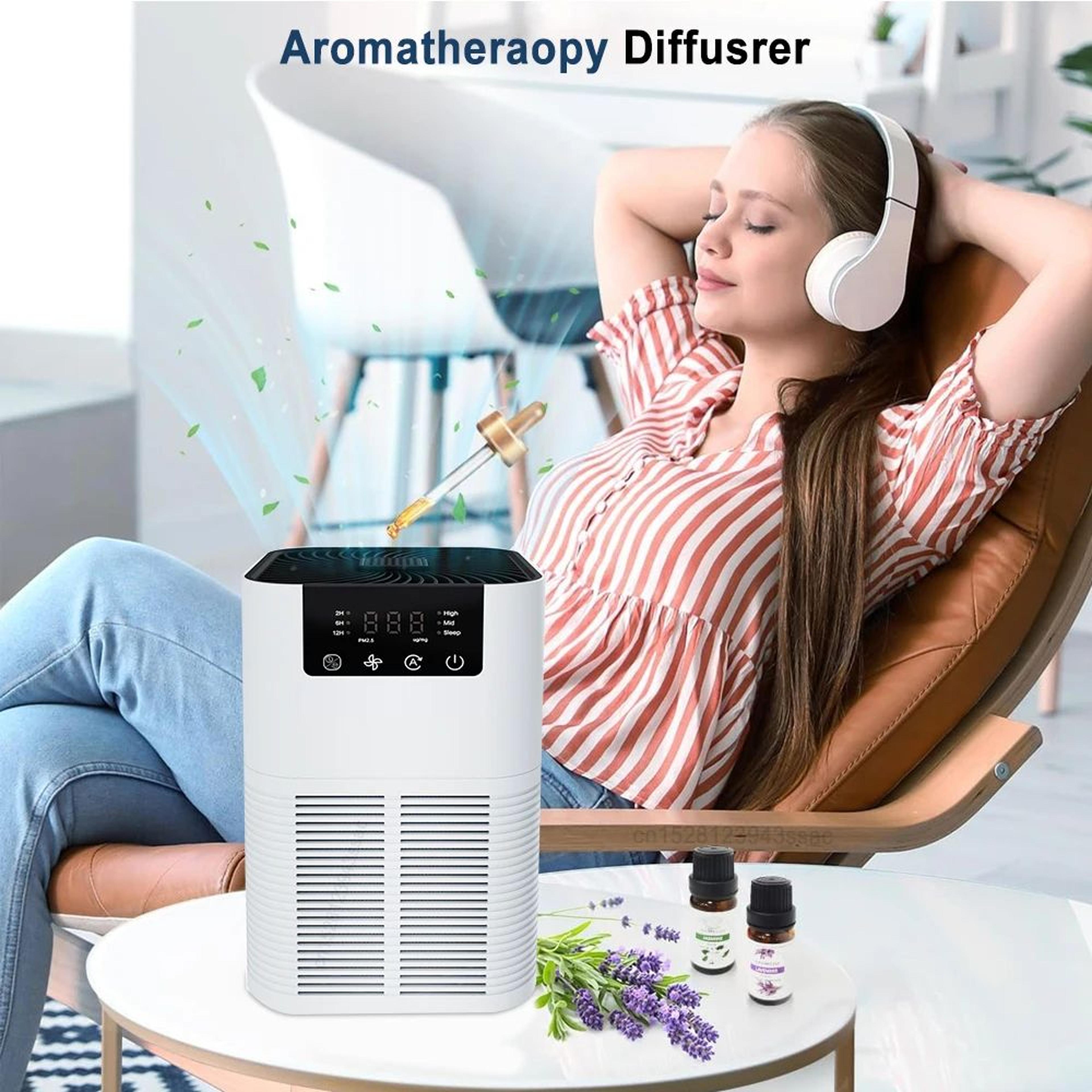 Negative Ion Air Purifier With HEPA Filter And Aromatherapy Smoke Odor Cleaner 2