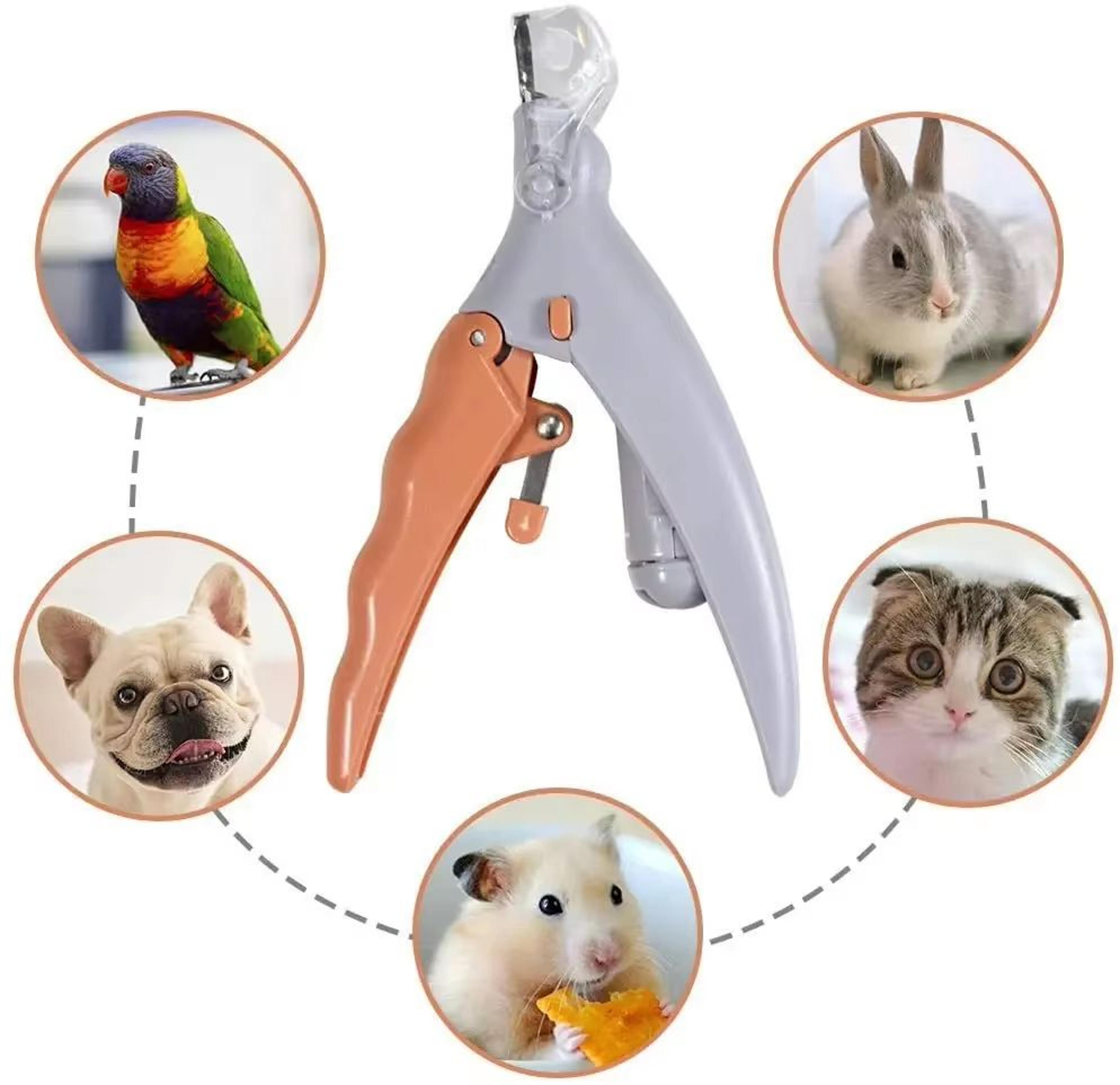 Professional Pet Nail Clippers With LED Light Safe Precision Grooming Tool For Cats And Dogs 1