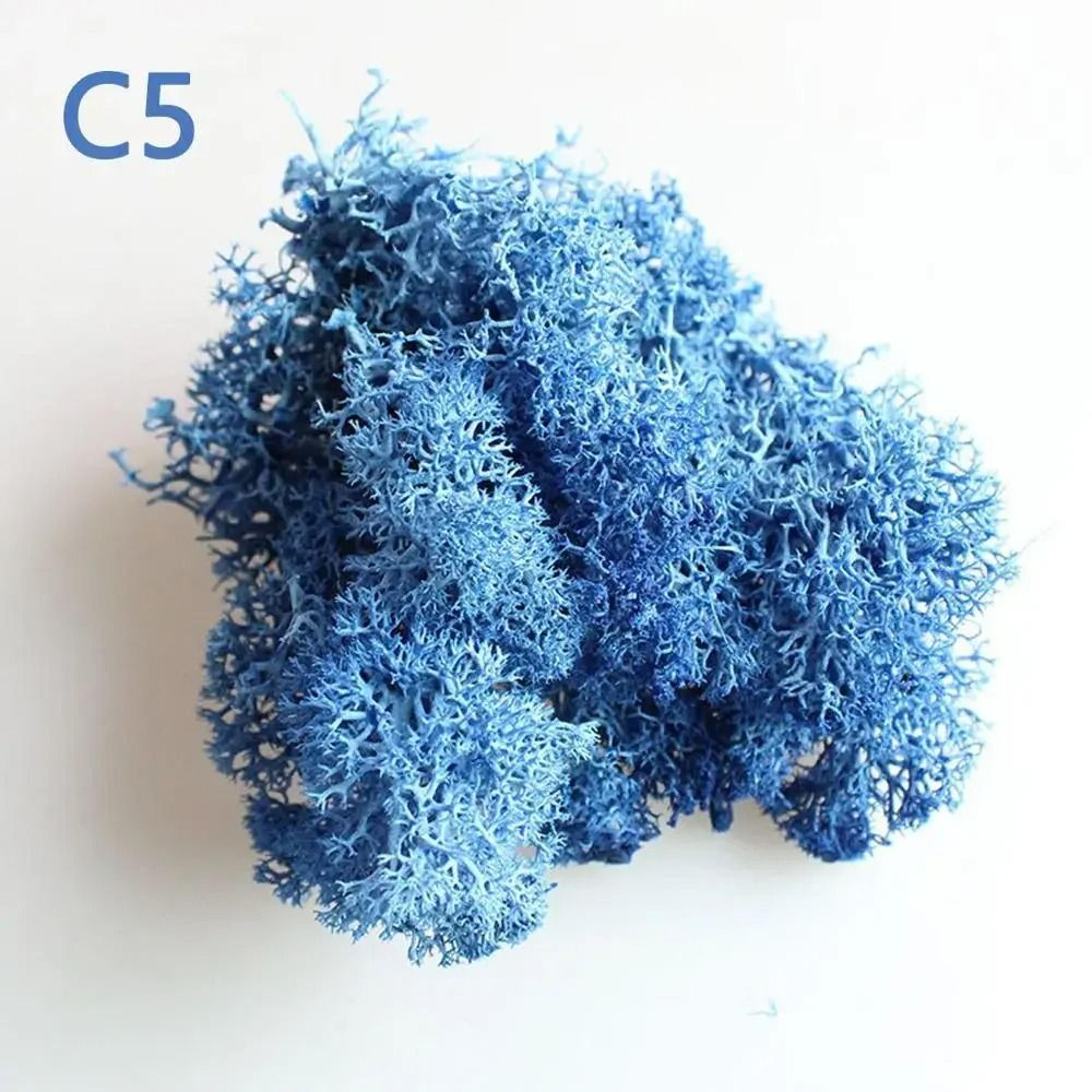 Artificial Moss Wall Decor Eternal Life DIY Micro Landscape Craft Material 11