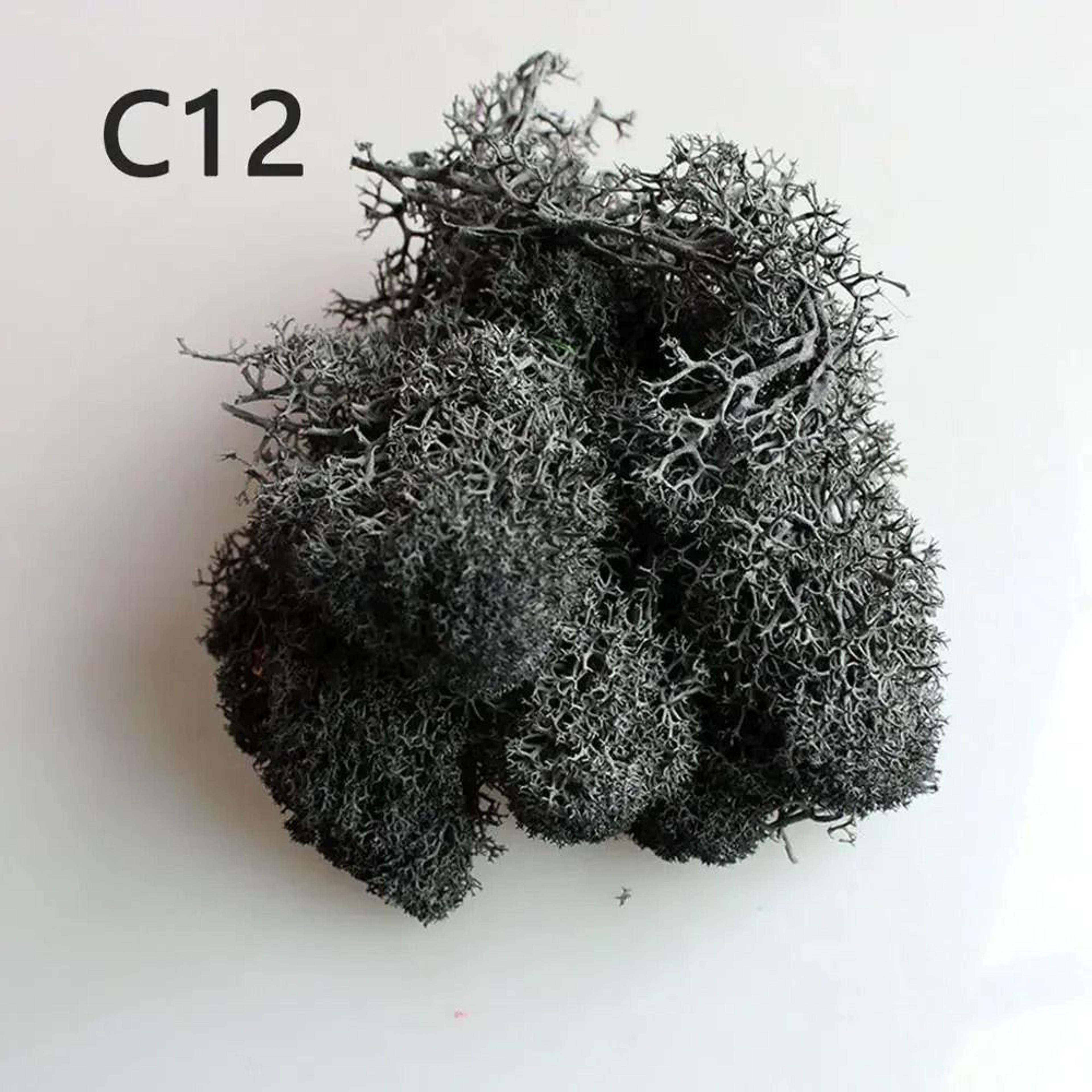 Artificial Moss Wall Decor Eternal Life DIY Micro Landscape Craft Material 16