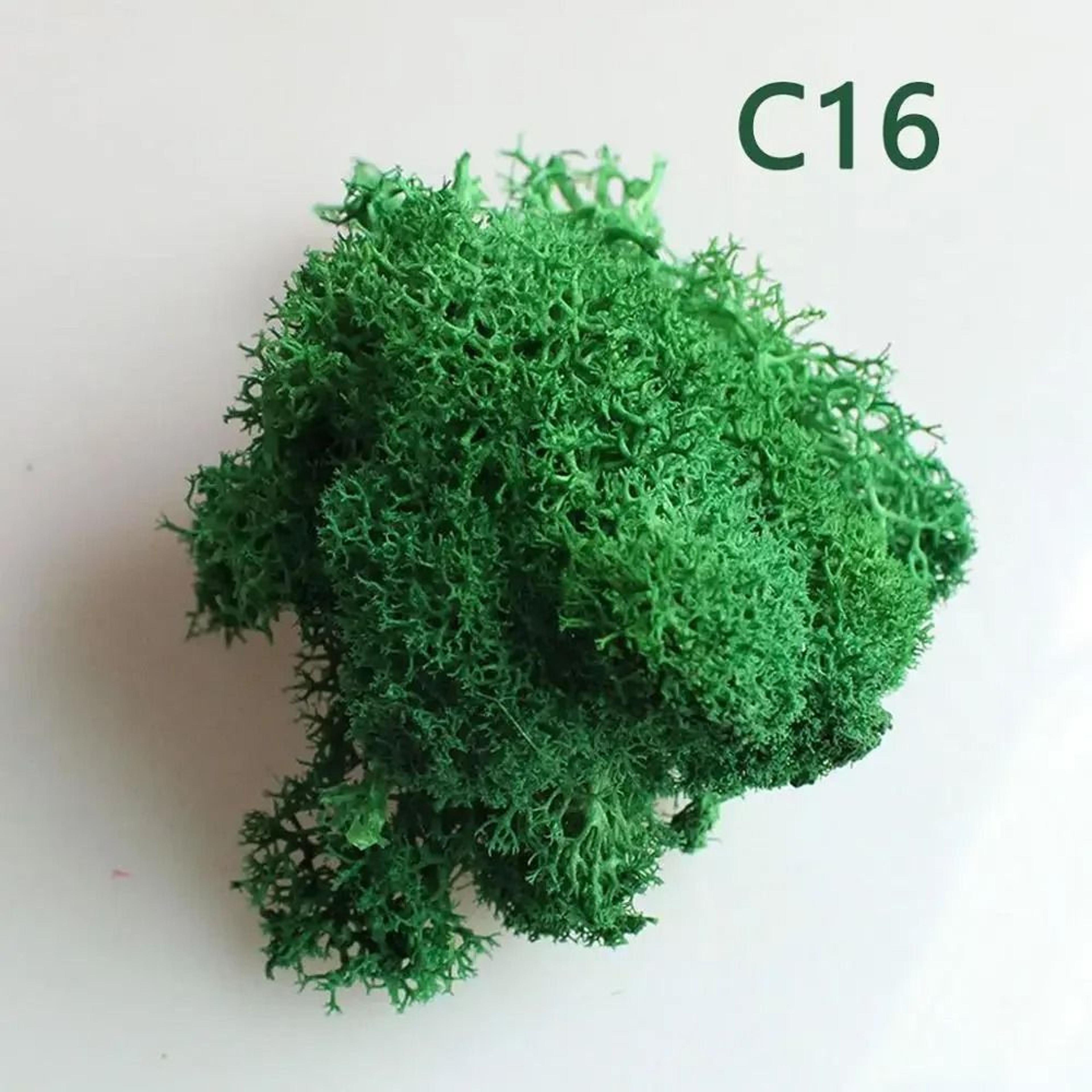Artificial Moss Wall Decor Eternal Life DIY Micro Landscape Craft Material 7