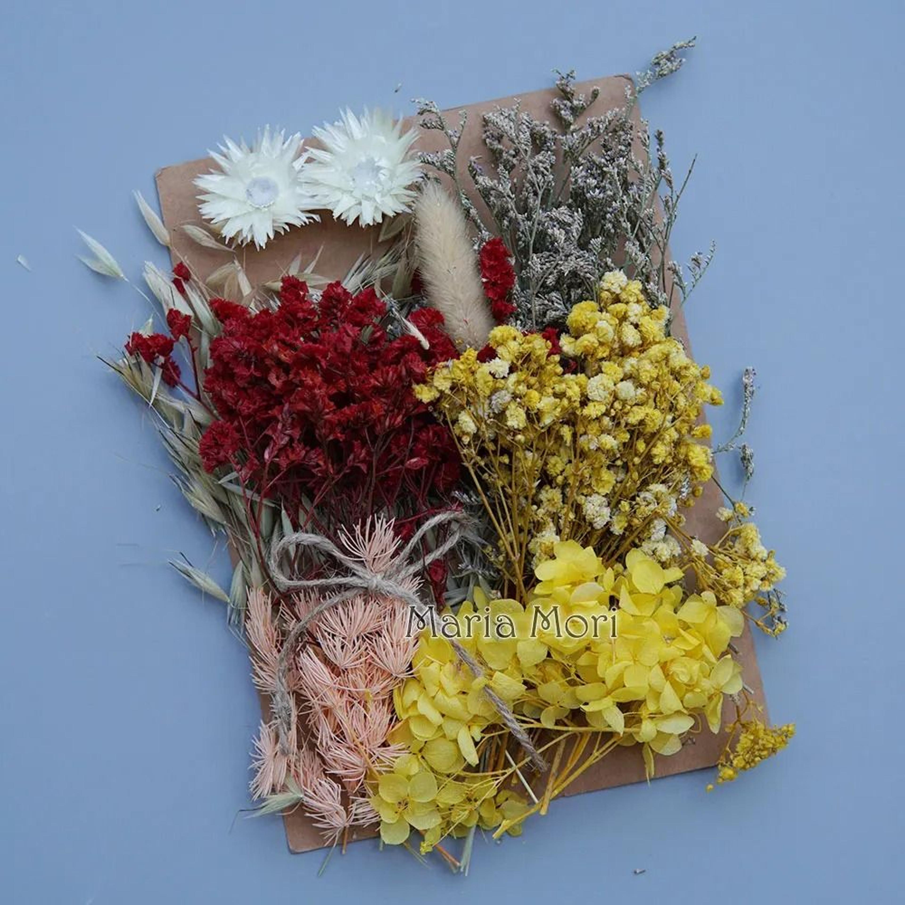 Preserved Hydrangea Dried Flower Kit For Resin Crafts And Candle Making 9